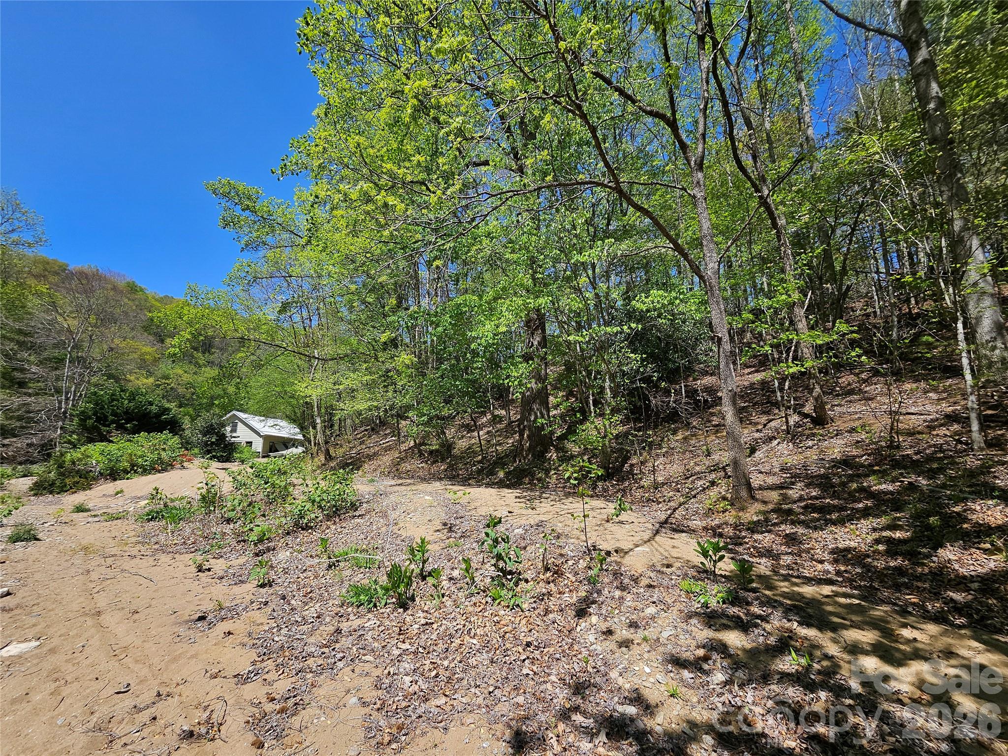 465 Paradise Lane Property Photo 11