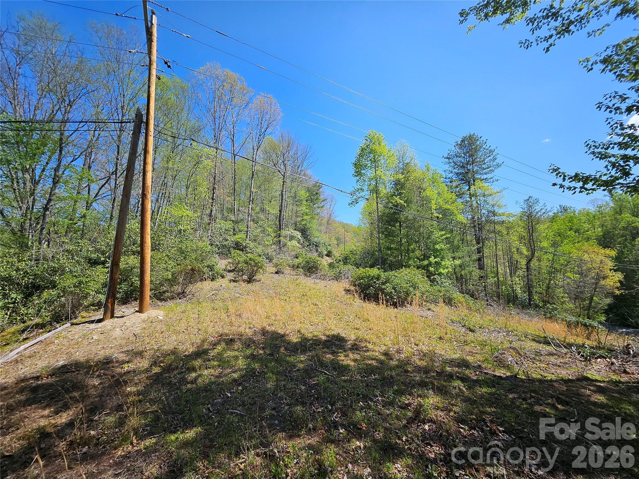 465 Paradise Lane Property Photo 34