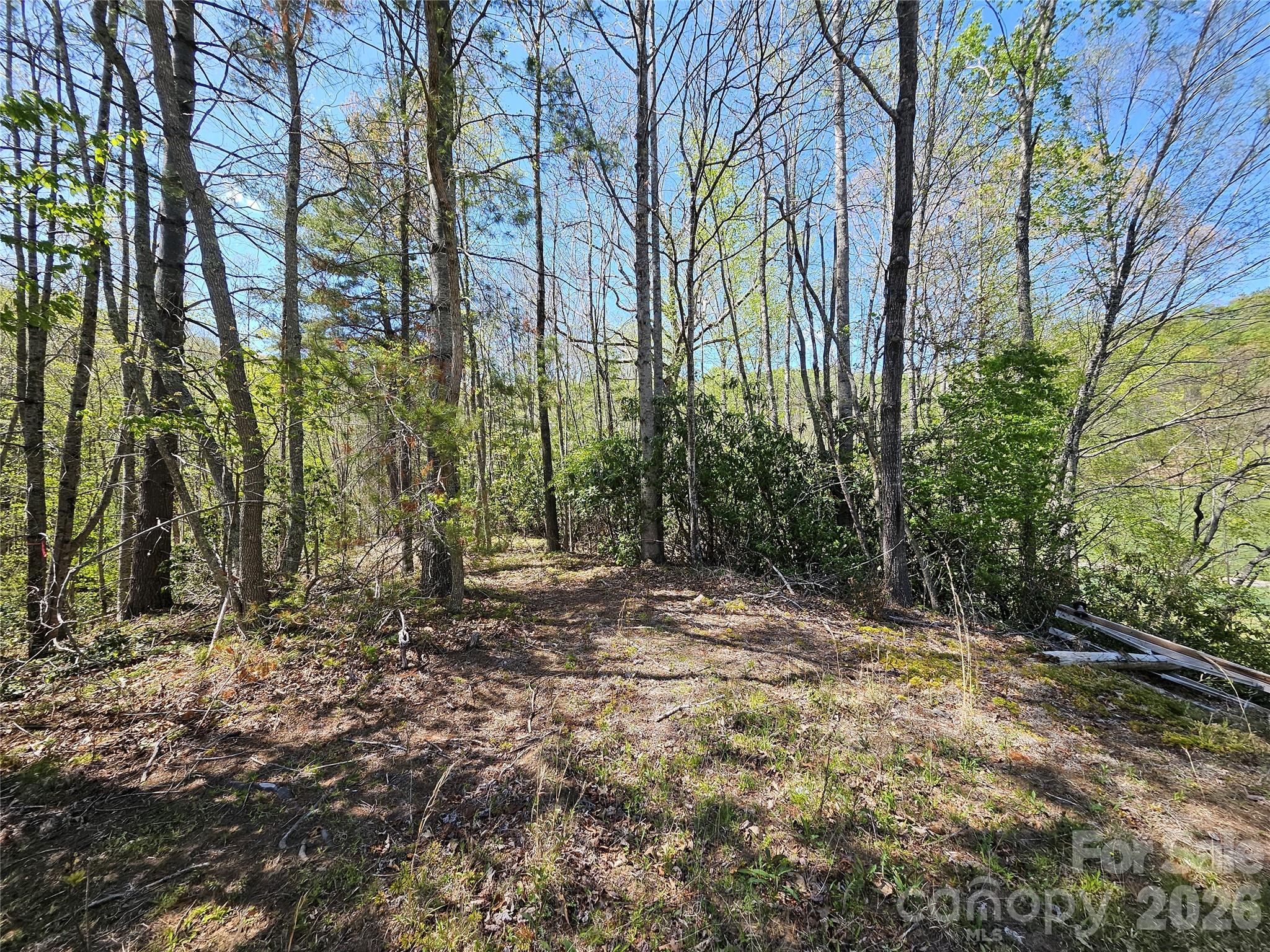 465 Paradise Lane Property Photo 37