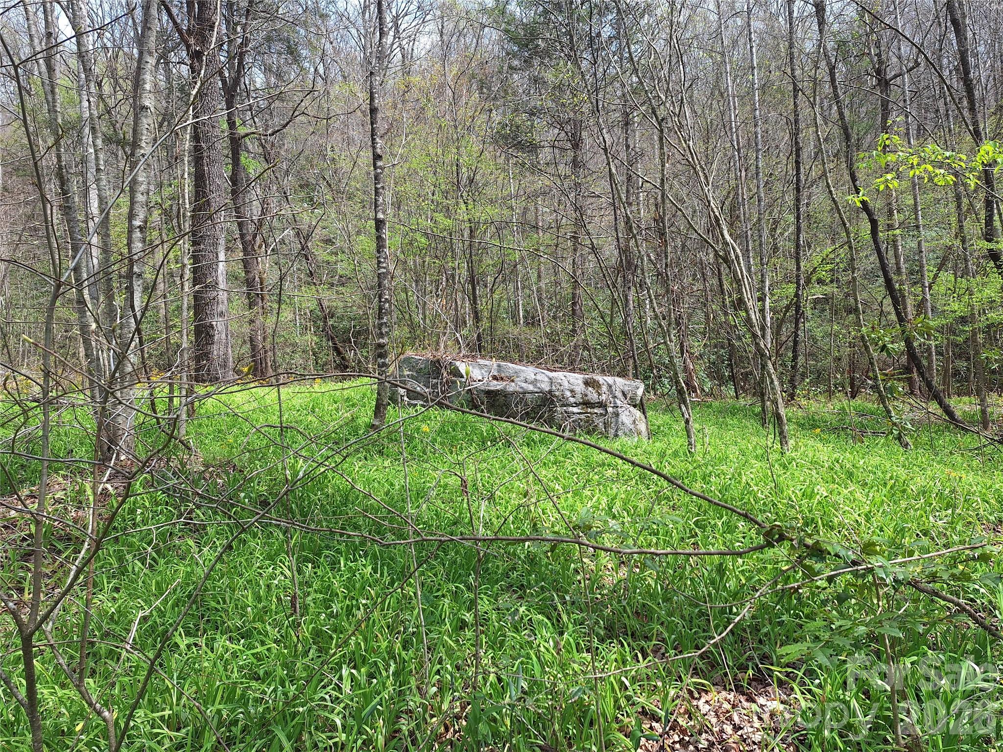 946 Lake Road Property Photo 1