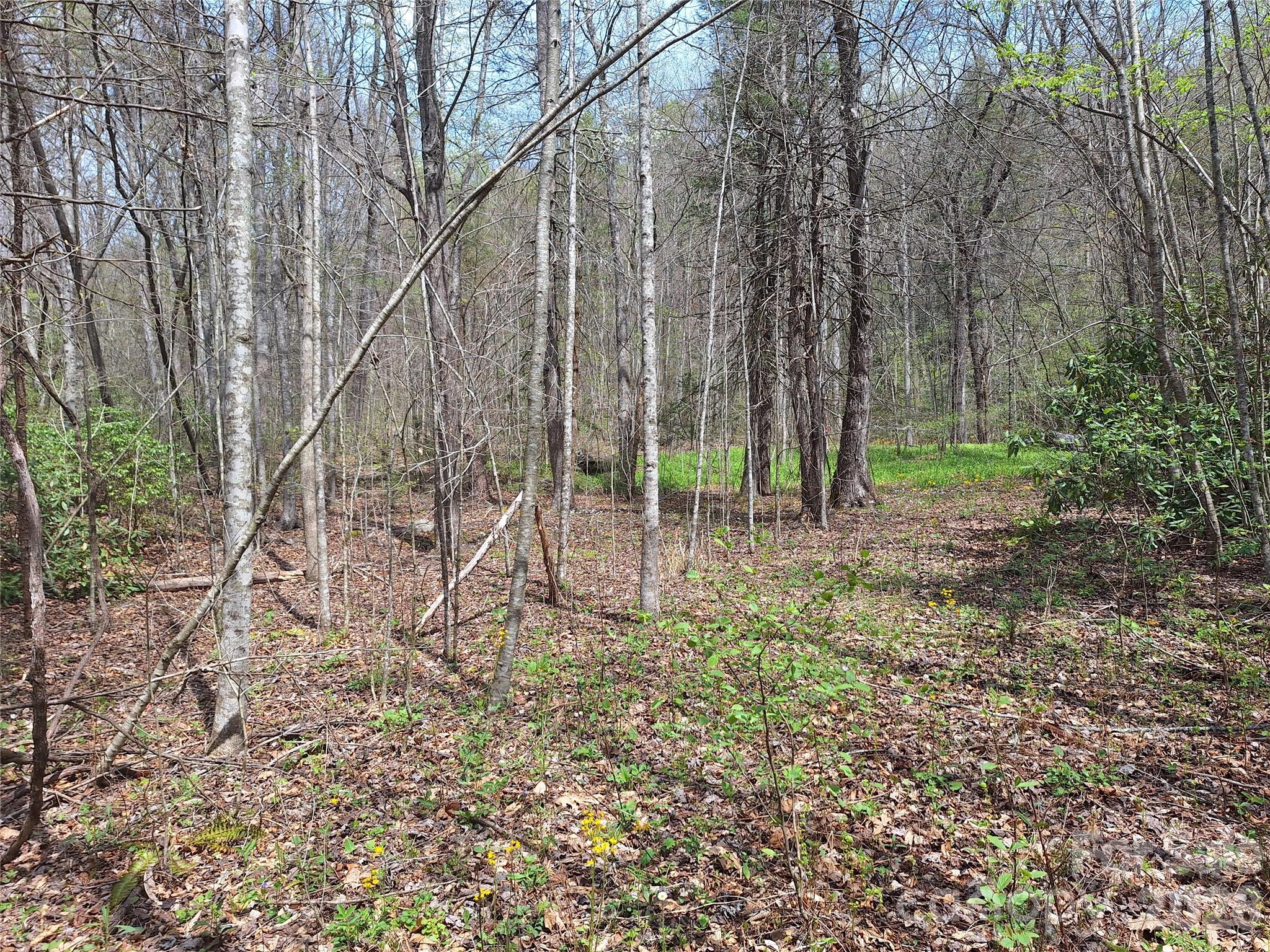 946 Lake Road Property Photo 2