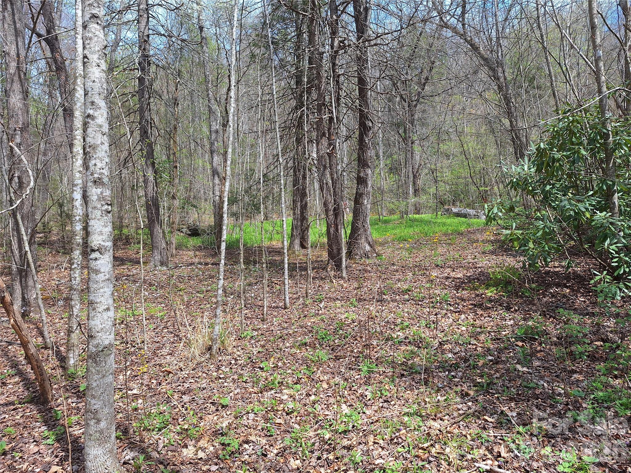 946 Lake Road Property Photo 3