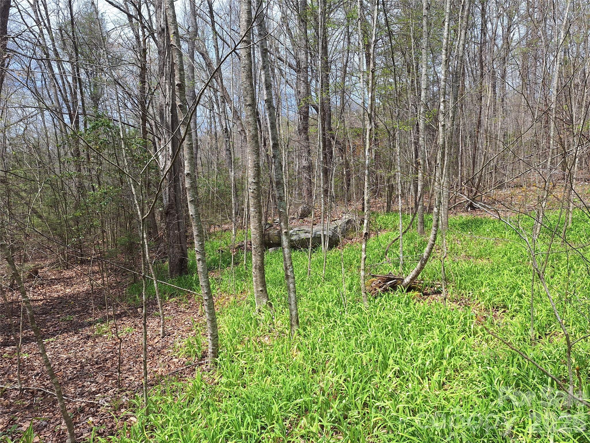 946 Lake Road Property Photo 4
