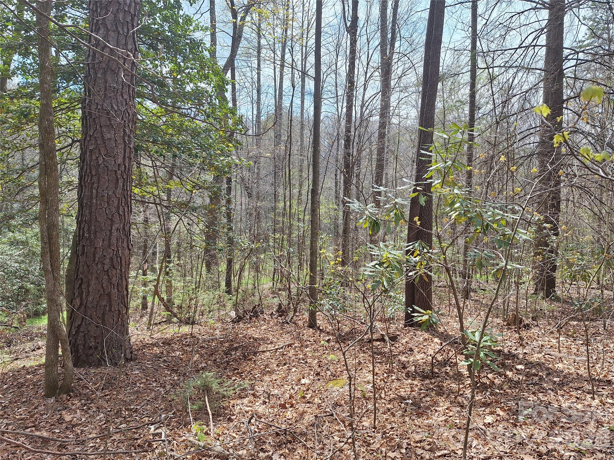 946 Lake Road Property Photo 9