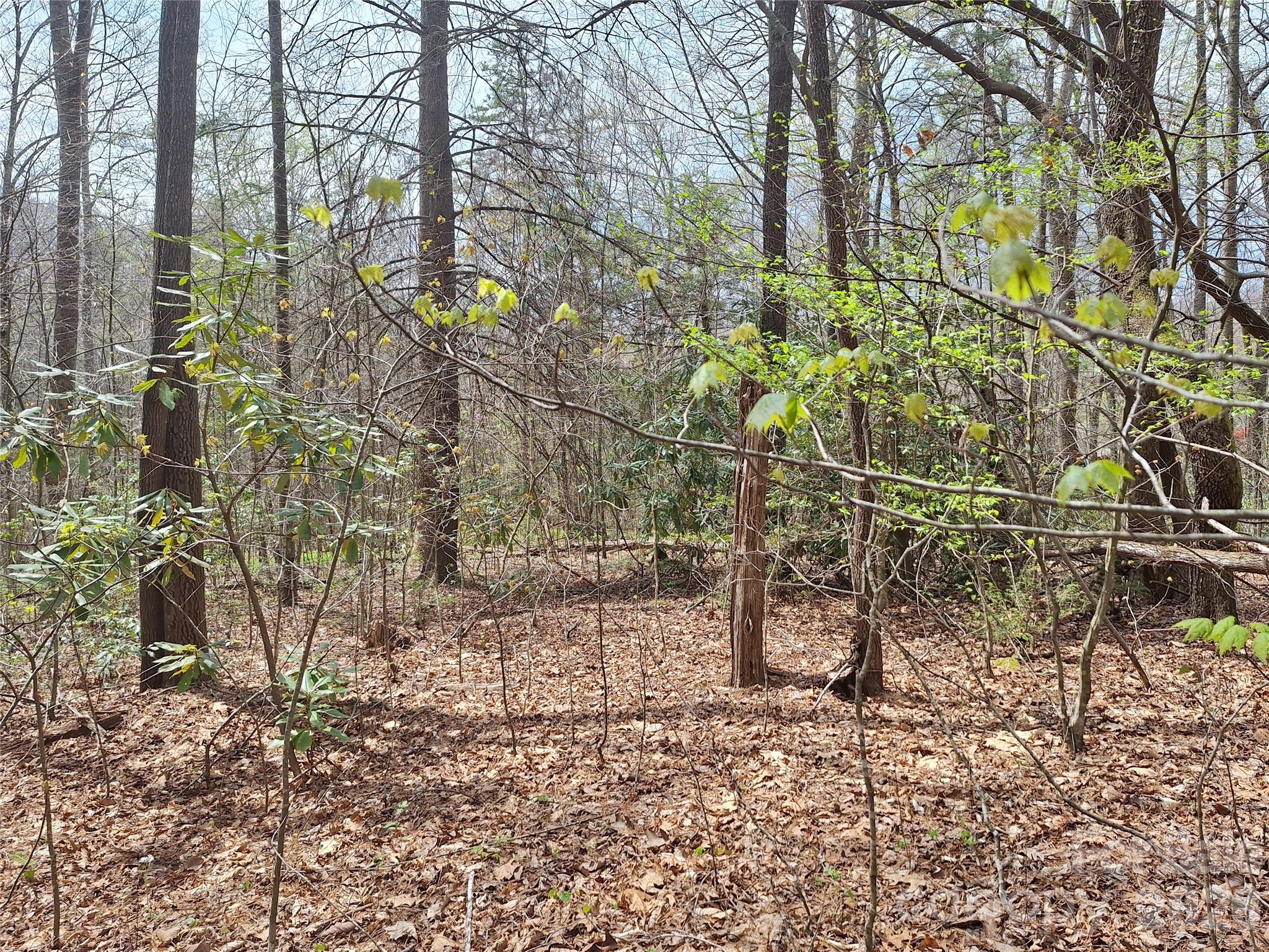 946 Lake Road Property Photo 10