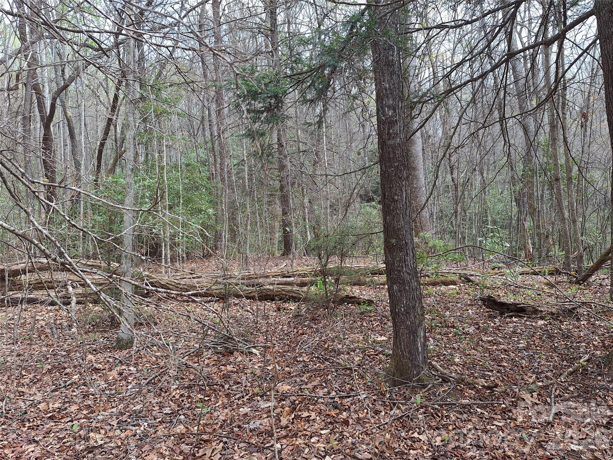 946 Lake Road Property Photo 11