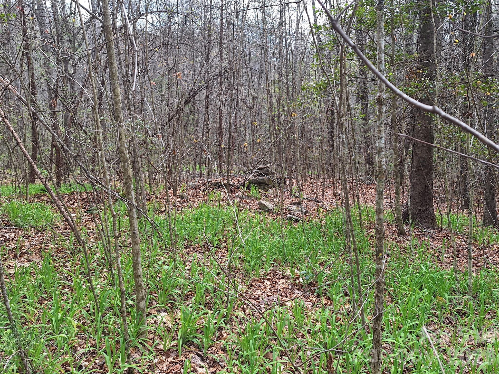 946 Lake Road Property Photo 12