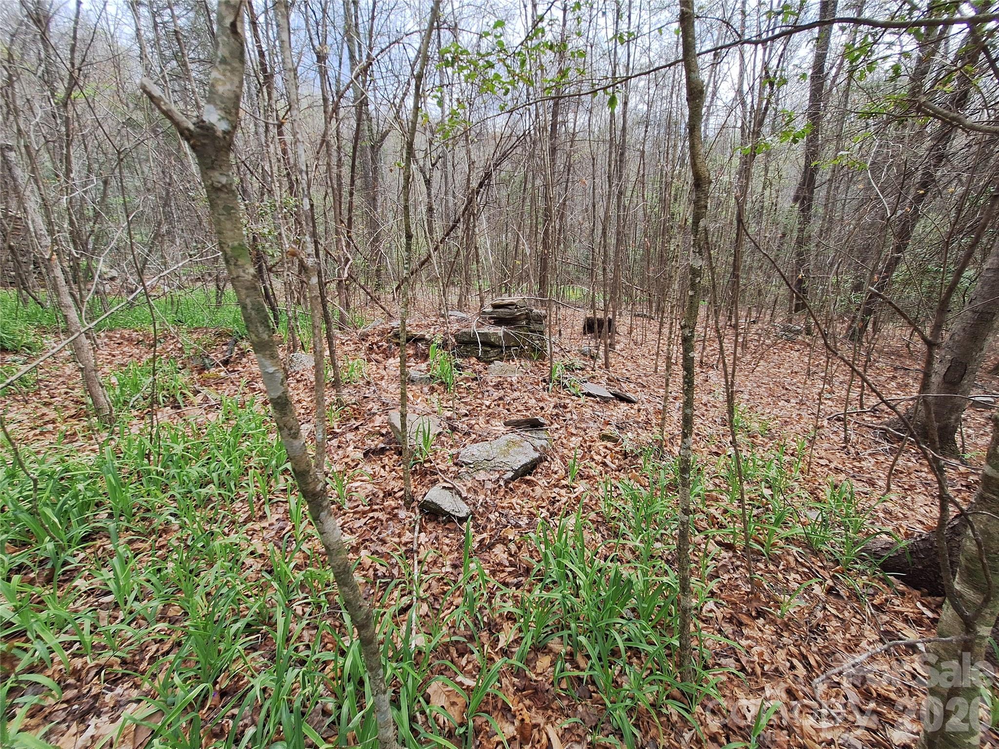946 Lake Road Property Photo 13