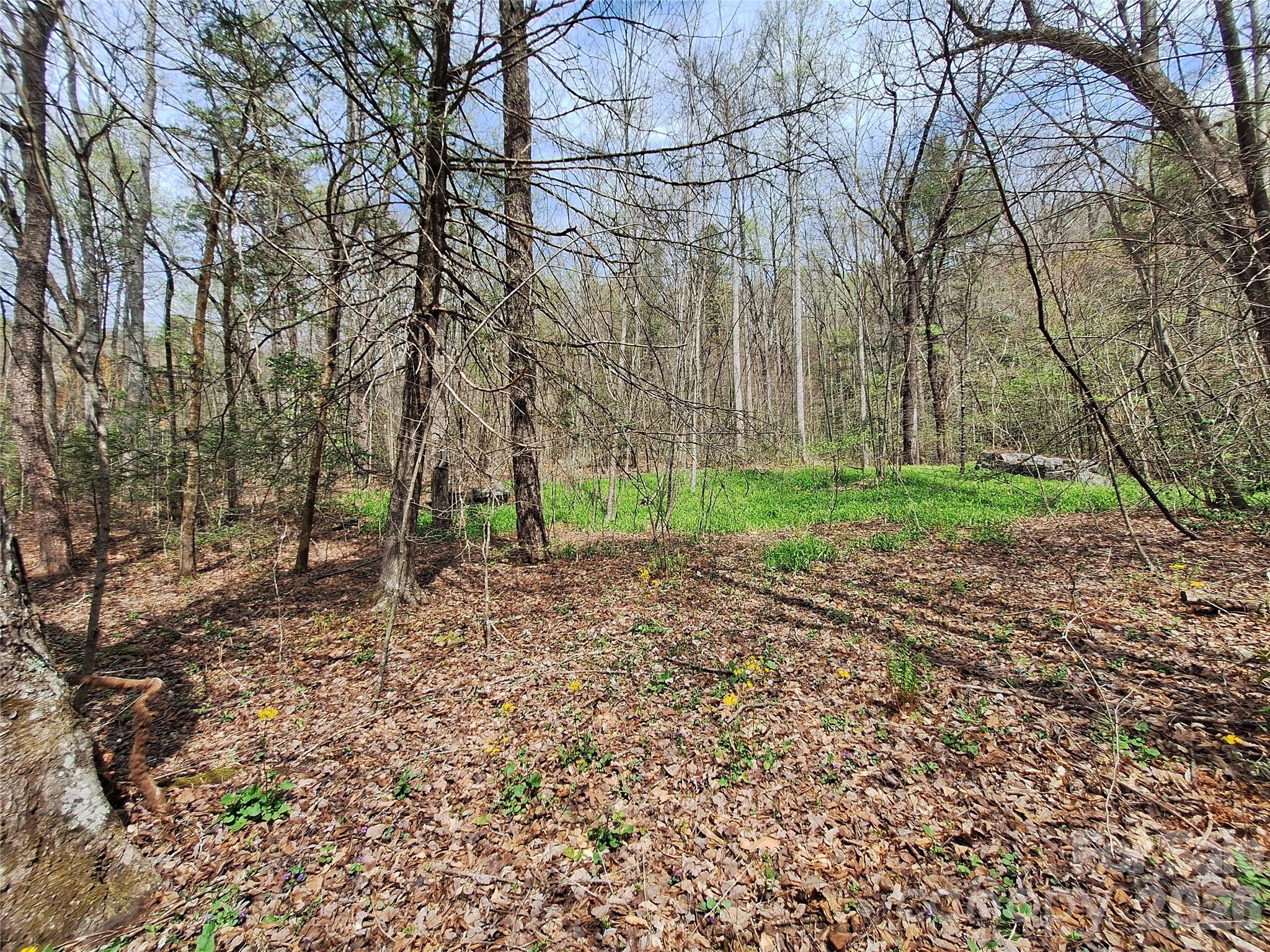 946 Lake Road Property Photo 15