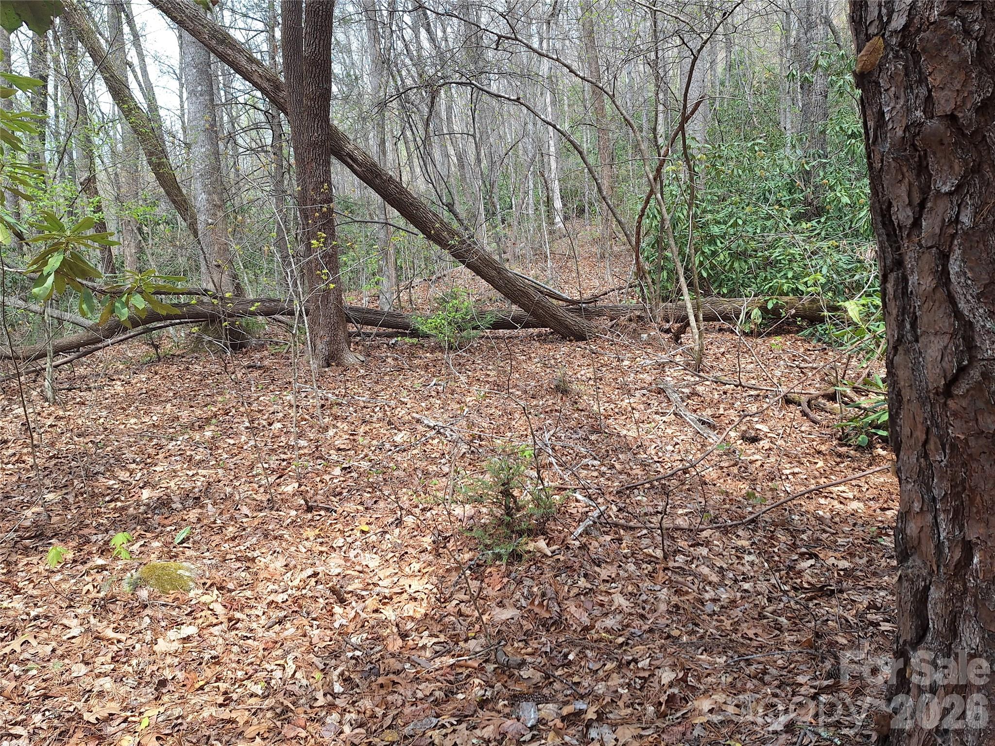 946 Lake Road Property Photo 19