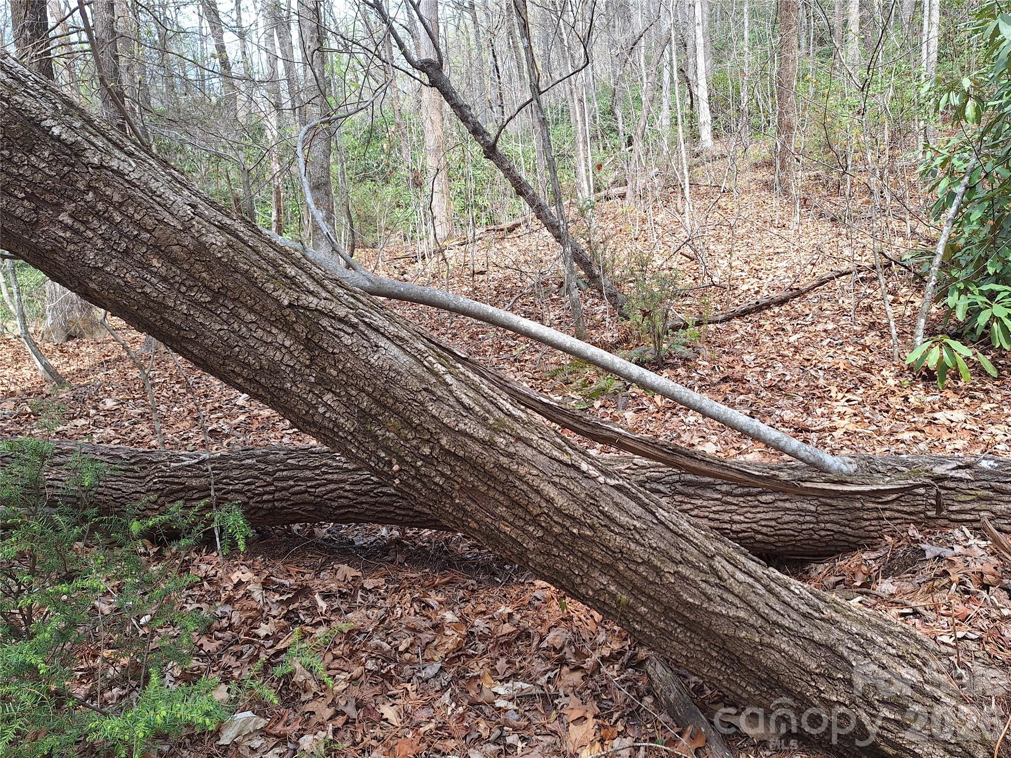 946 Lake Road Property Photo 20