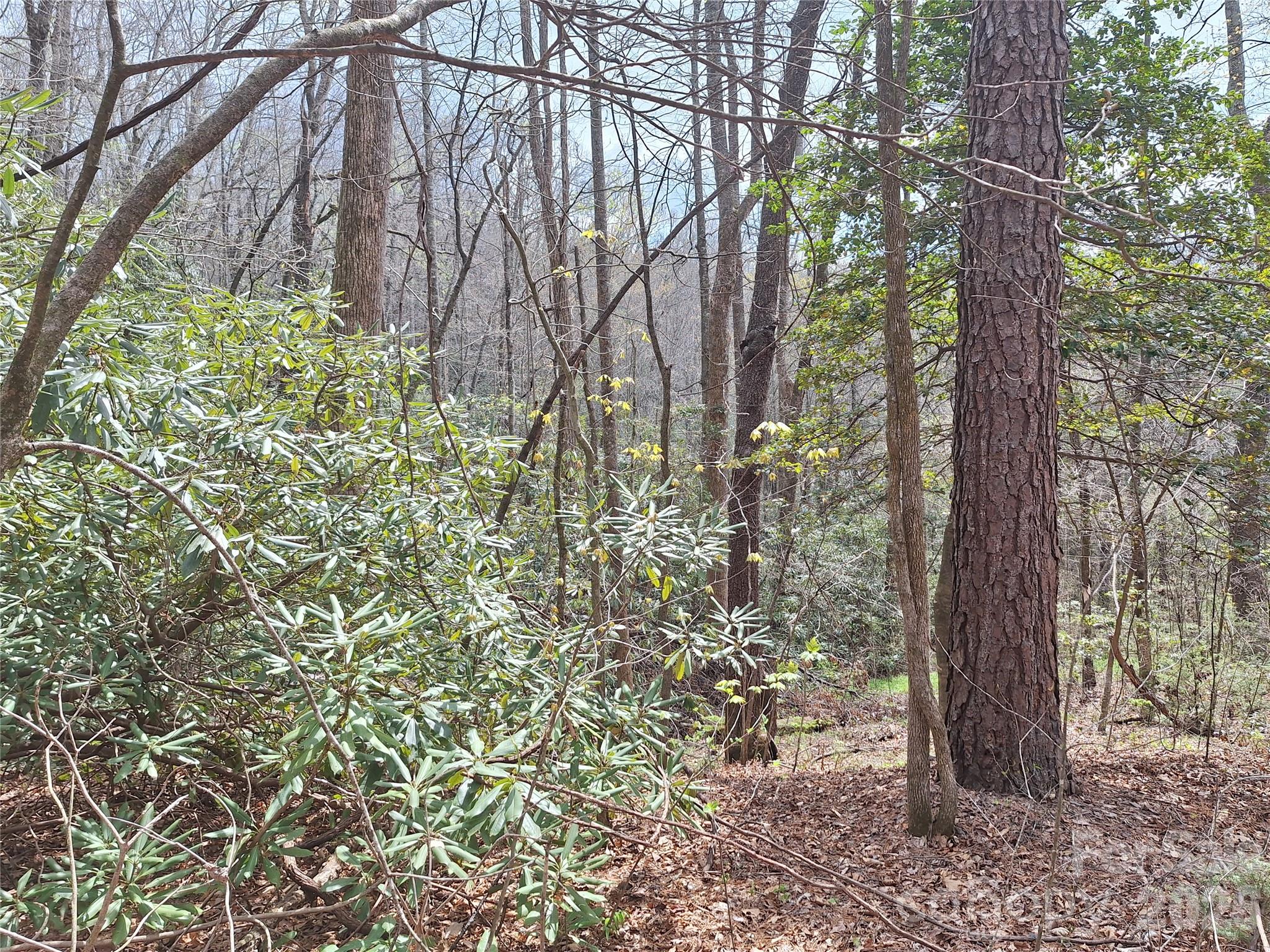 946 Lake Road Property Photo 21