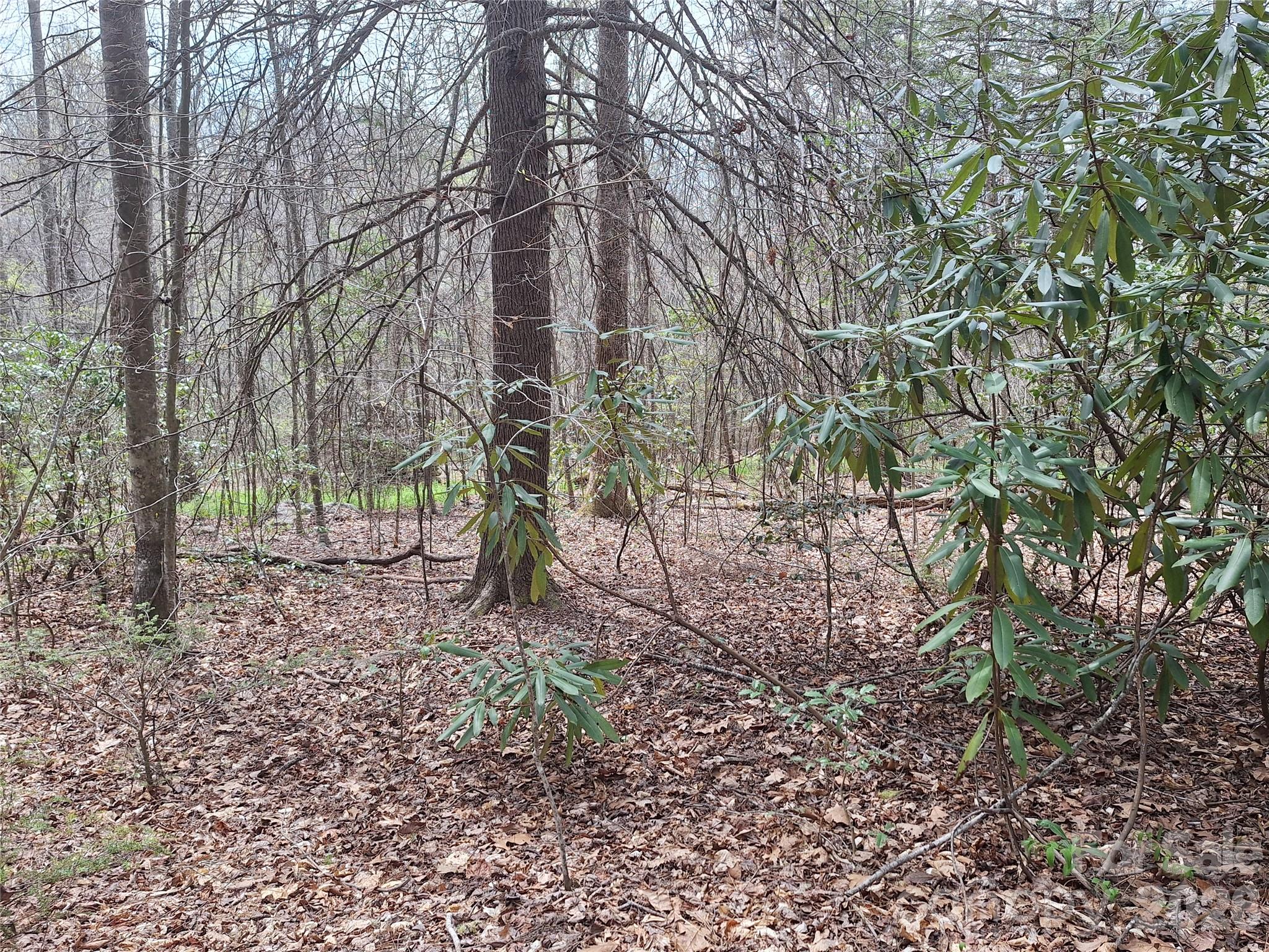 946 Lake Road Property Photo 22