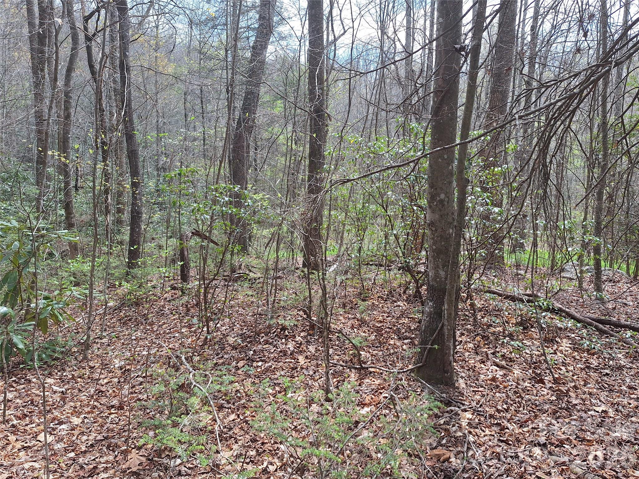 946 Lake Road Property Photo 23