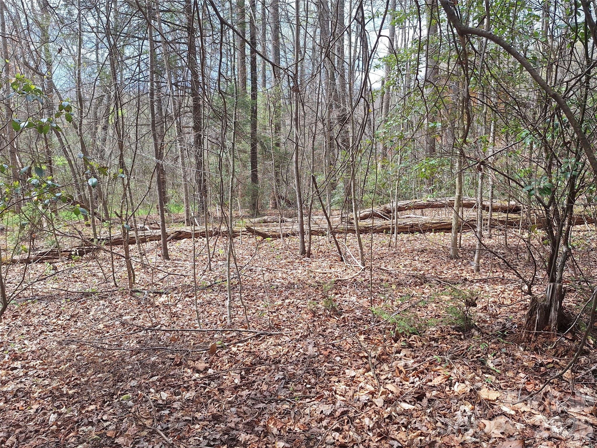 946 Lake Road Property Photo 24