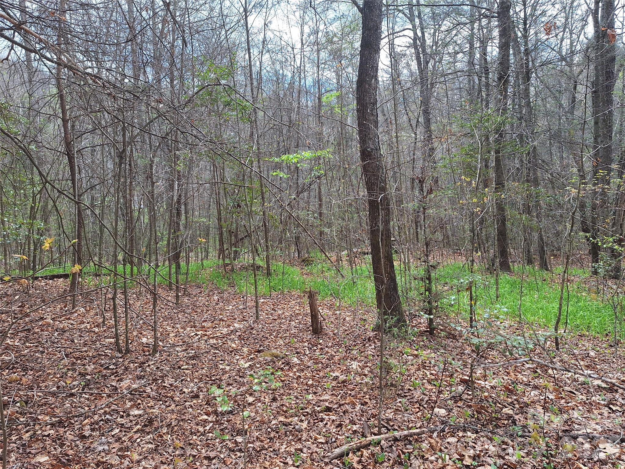 946 Lake Road Property Photo 26