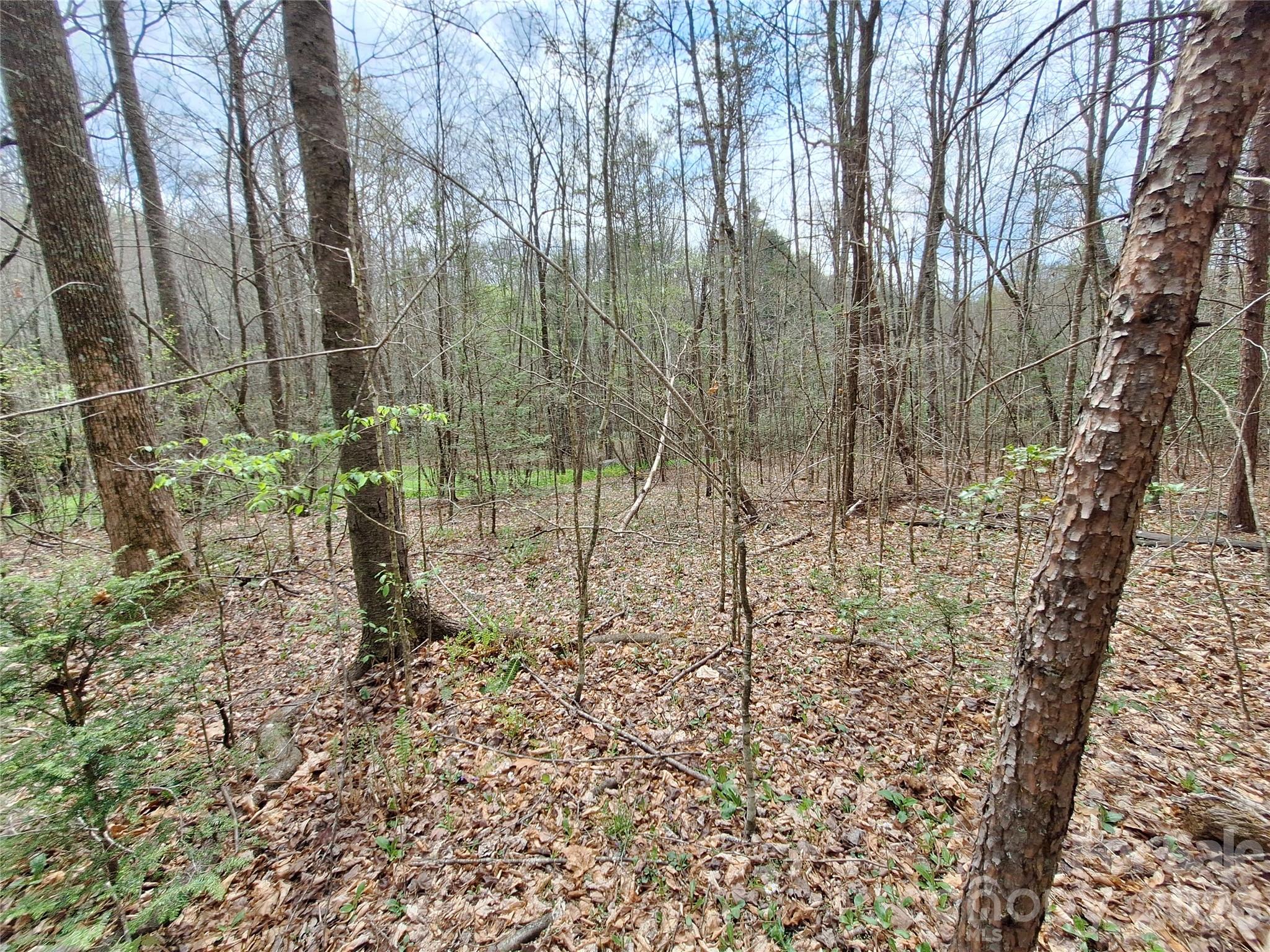 946 Lake Road Property Photo 27