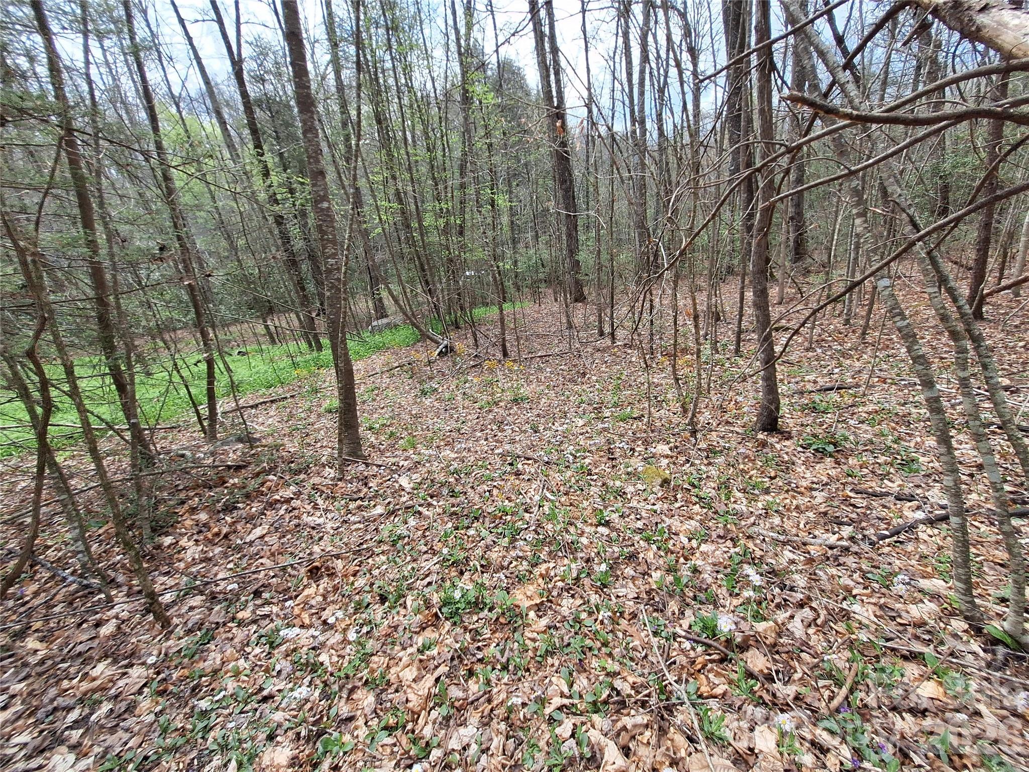 946 Lake Road Property Photo 28