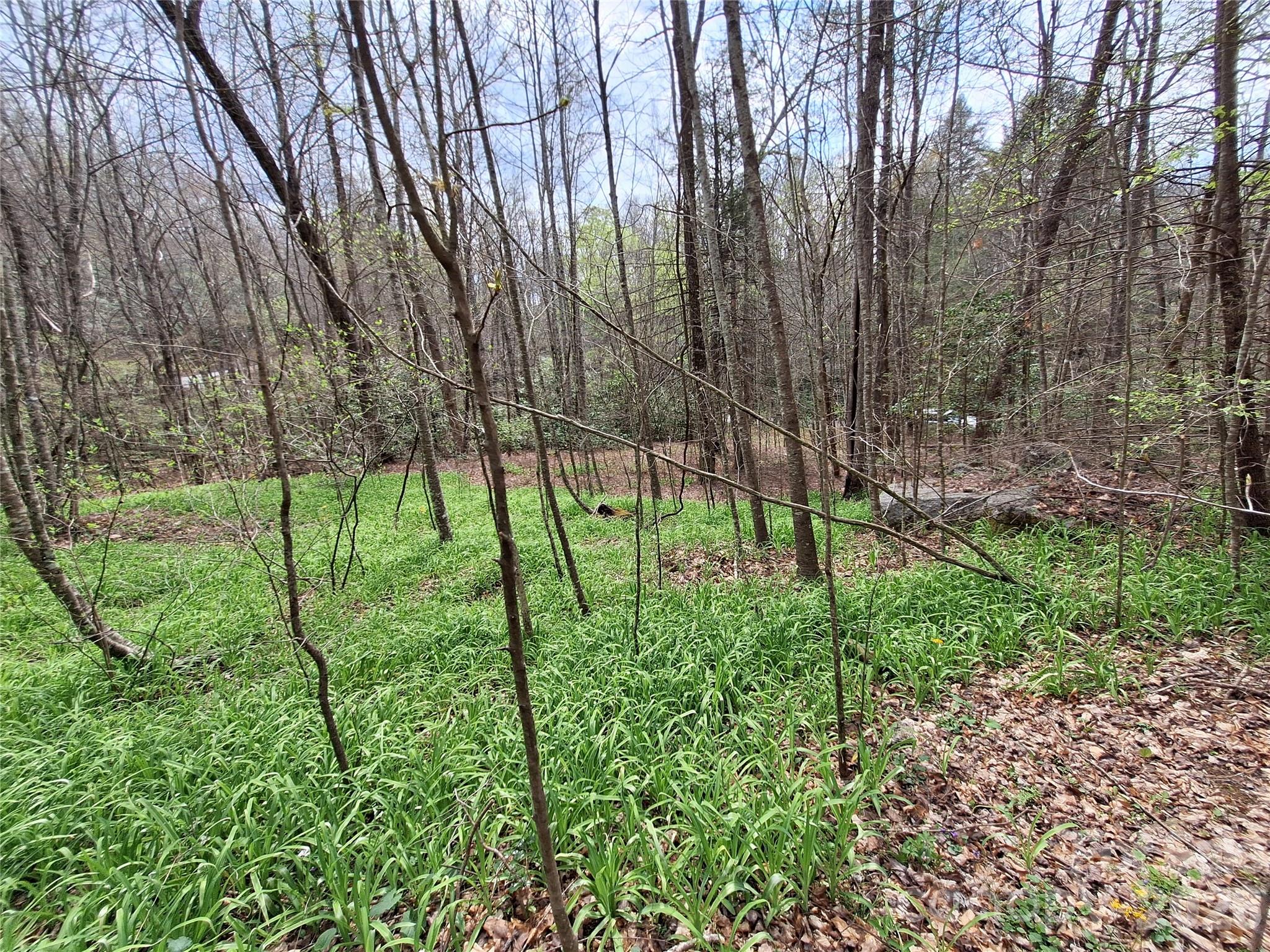 946 Lake Road Property Photo 29