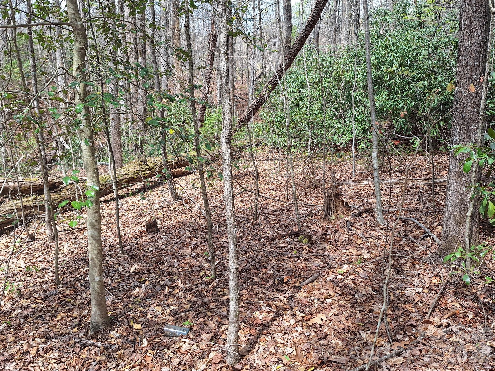 946 Lake Road Property Photo 34
