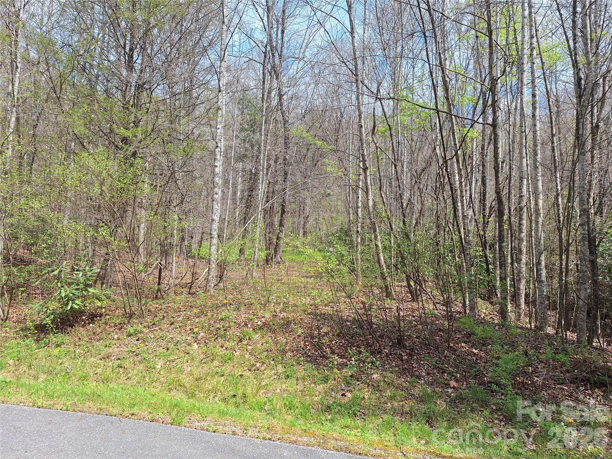 946 Lake Road Property Photo 39