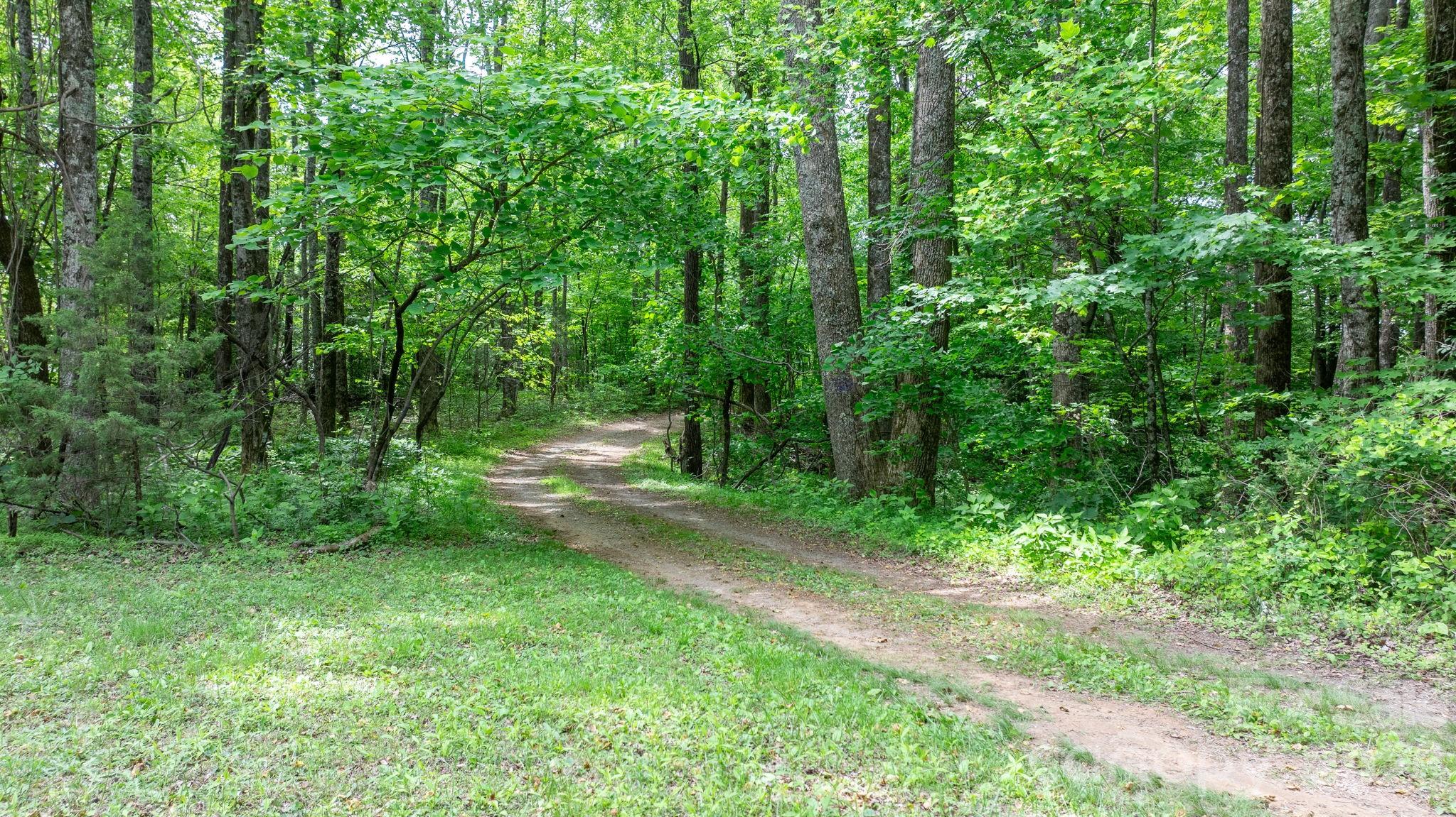 3494 Vannoy Ridge Road Property Photo 22