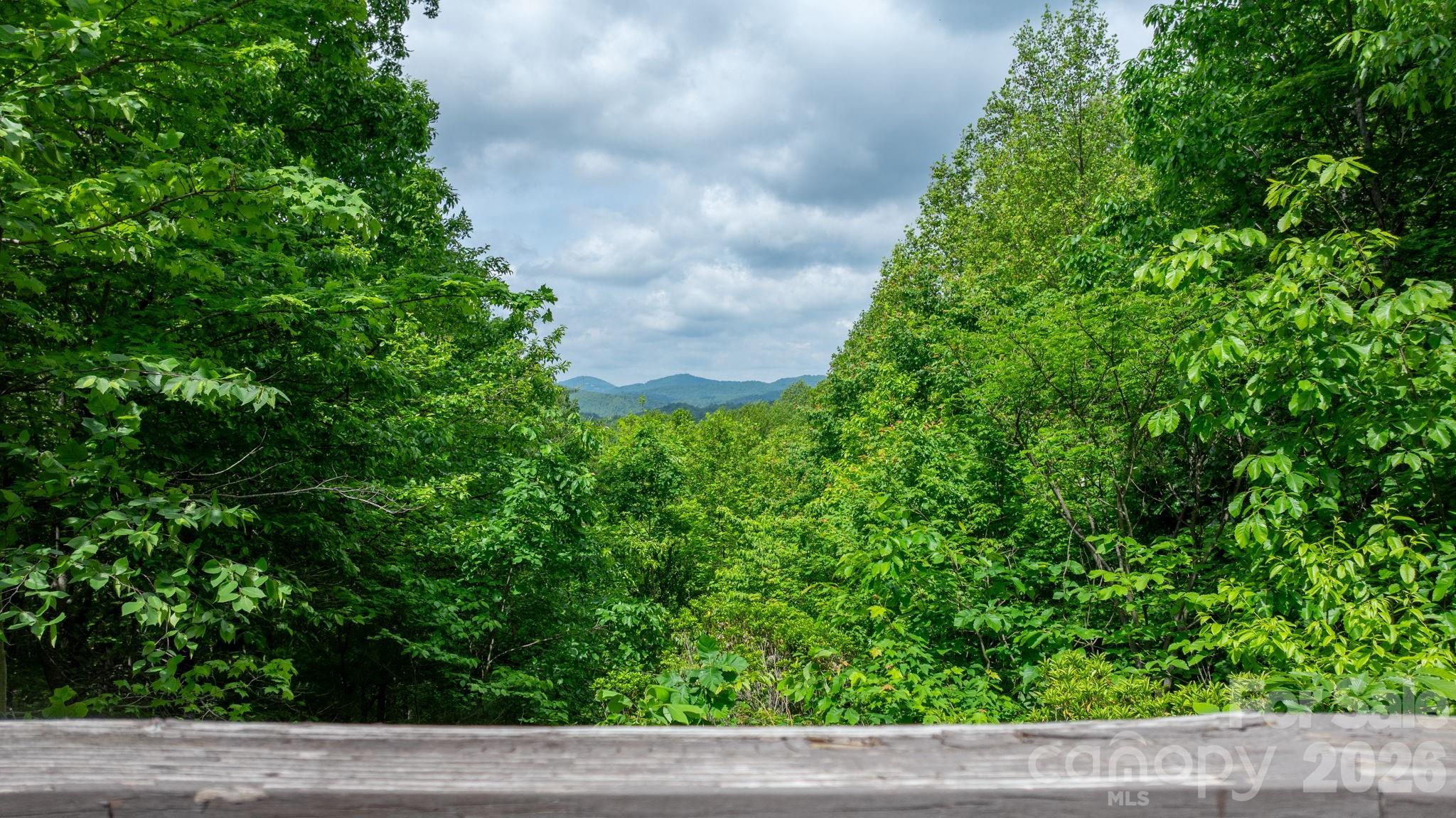 3494 Vannoy Ridge Road Property Photo 28