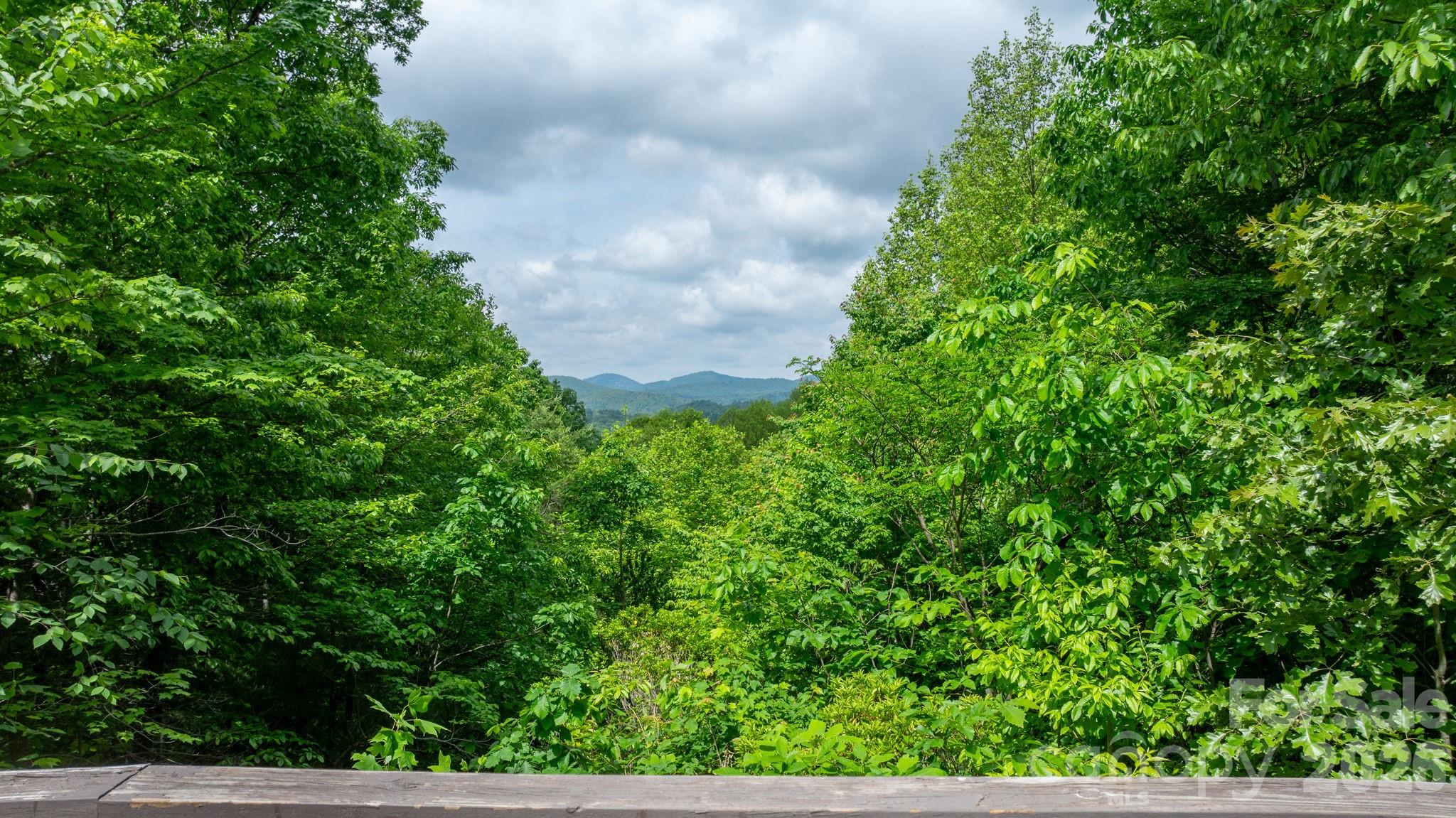 3494 Vannoy Ridge Road Property Photo 29