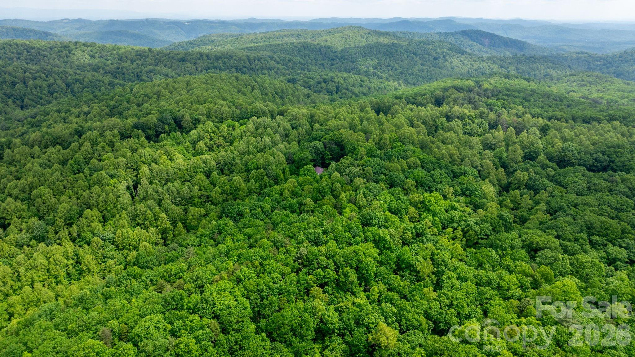 3494 Vannoy Ridge Road Property Photo 33