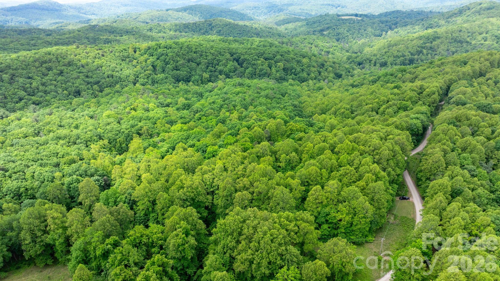 3494 Vannoy Ridge Road Property Photo 36