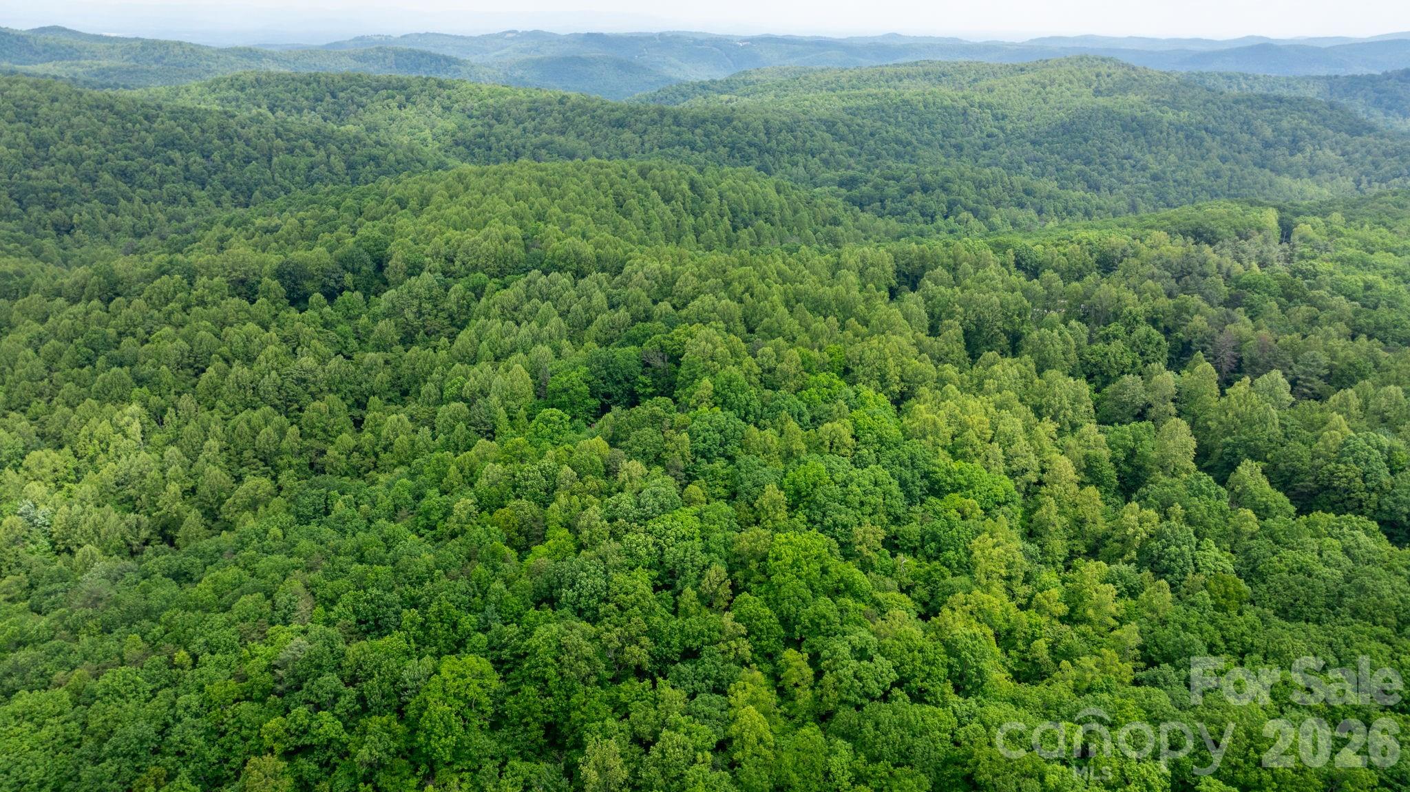 3494 Vannoy Ridge Road Property Photo 37