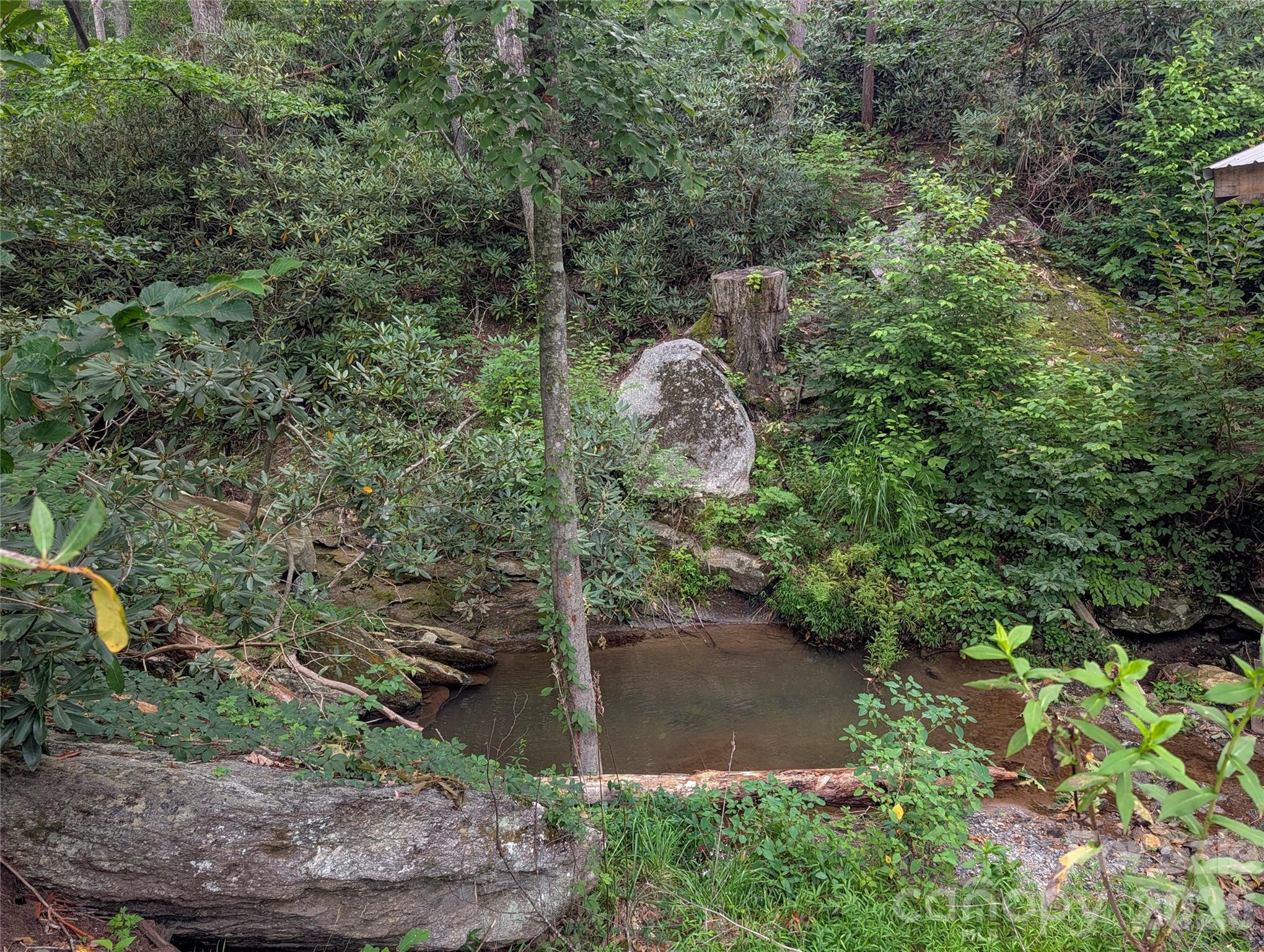 1034 Kyles Creek Road Property Photo 5