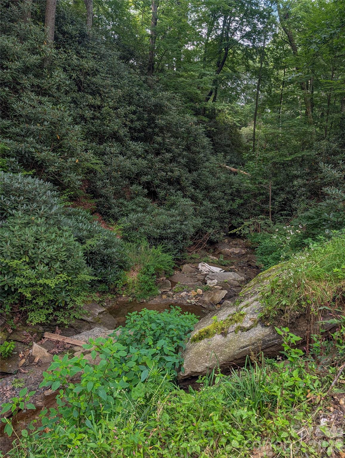 1034 Kyles Creek Road Property Photo 6