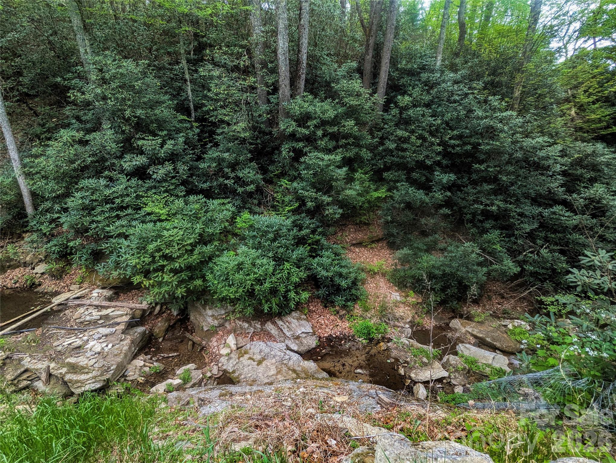1034 Kyles Creek Road Property Photo 10