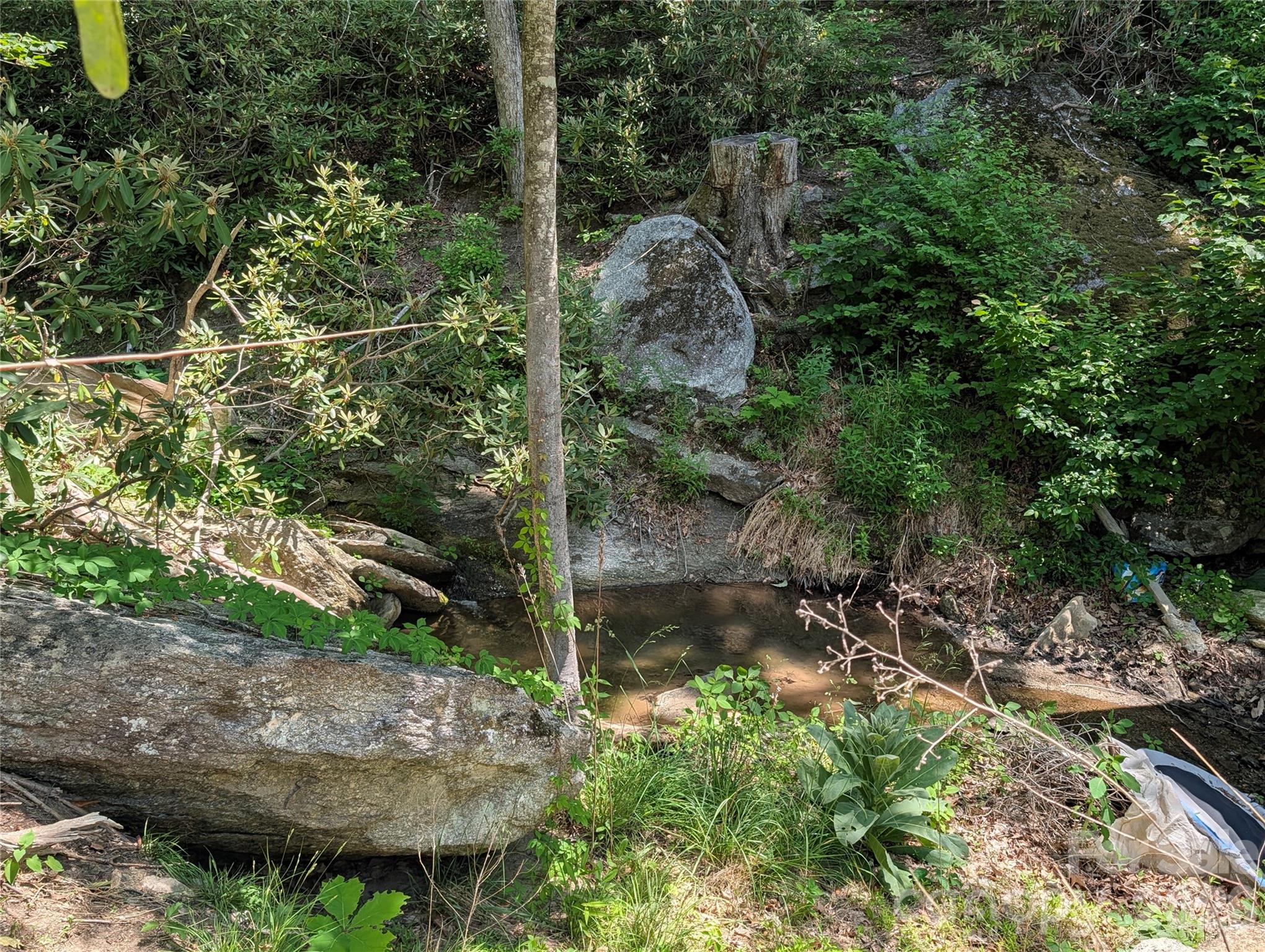 1034 Kyles Creek Road Property Photo 12