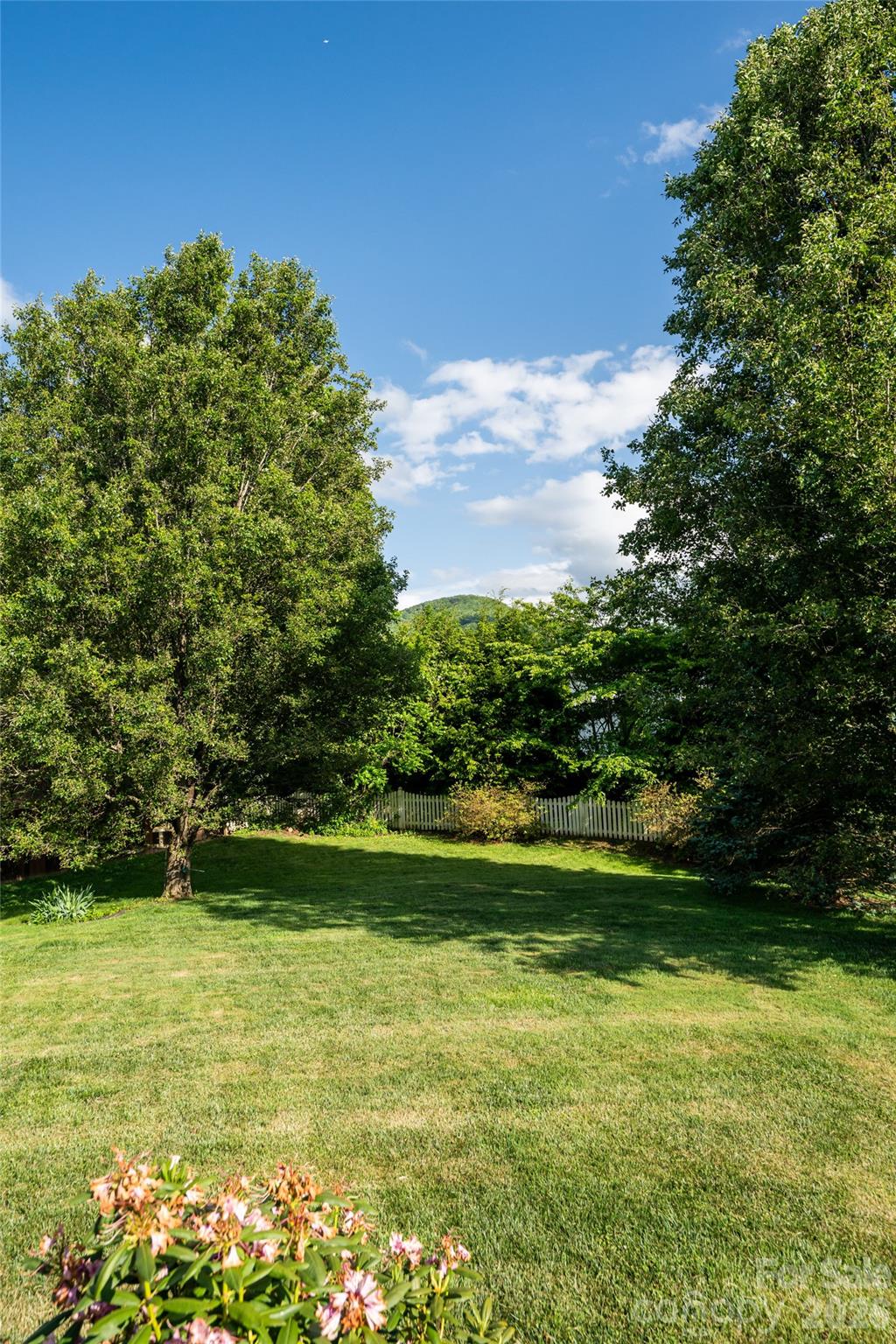 48 Brownstone Court Property Photo 35