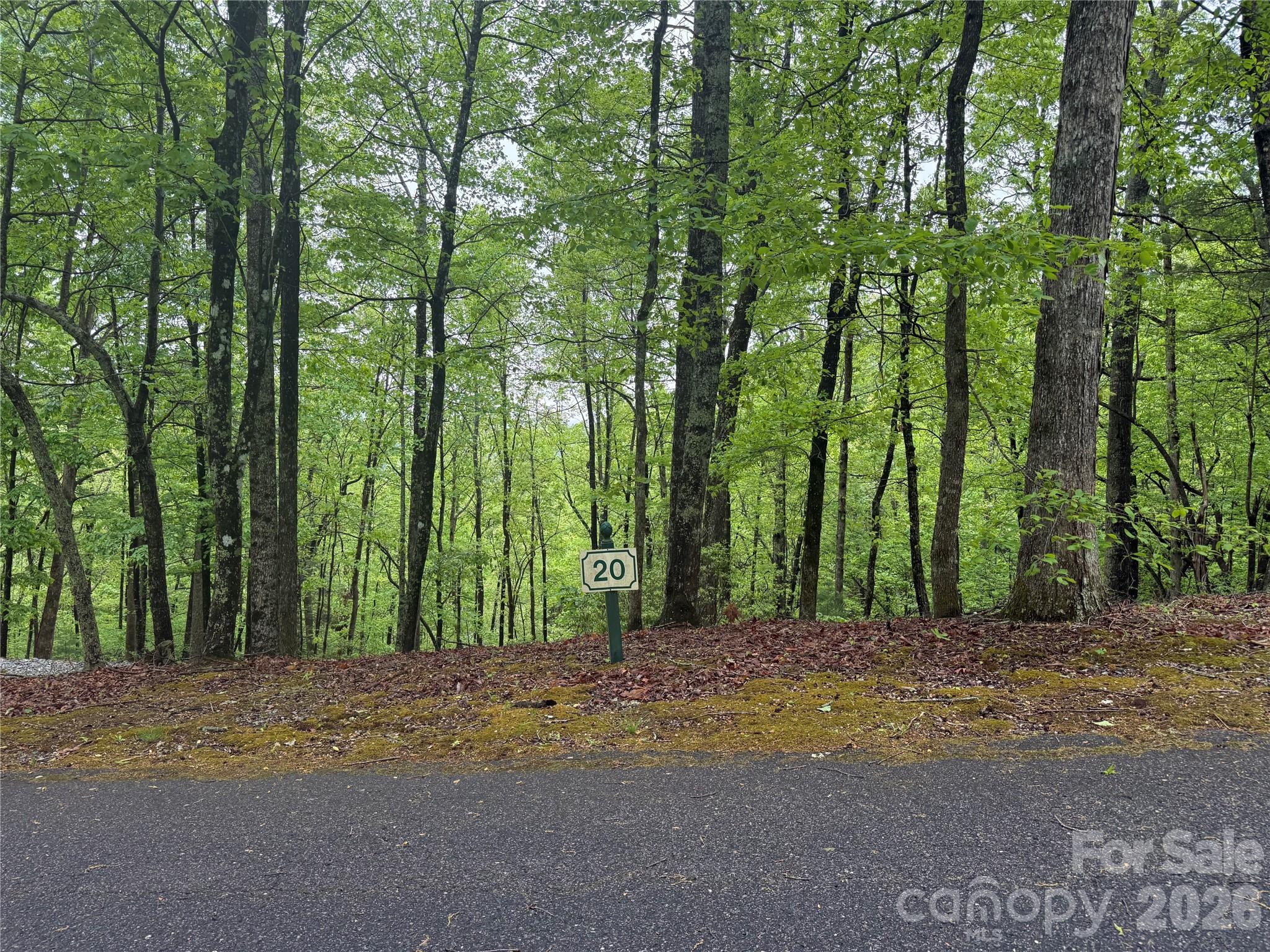 39 Black Bear Ridge Trail 20 Property Photo 1