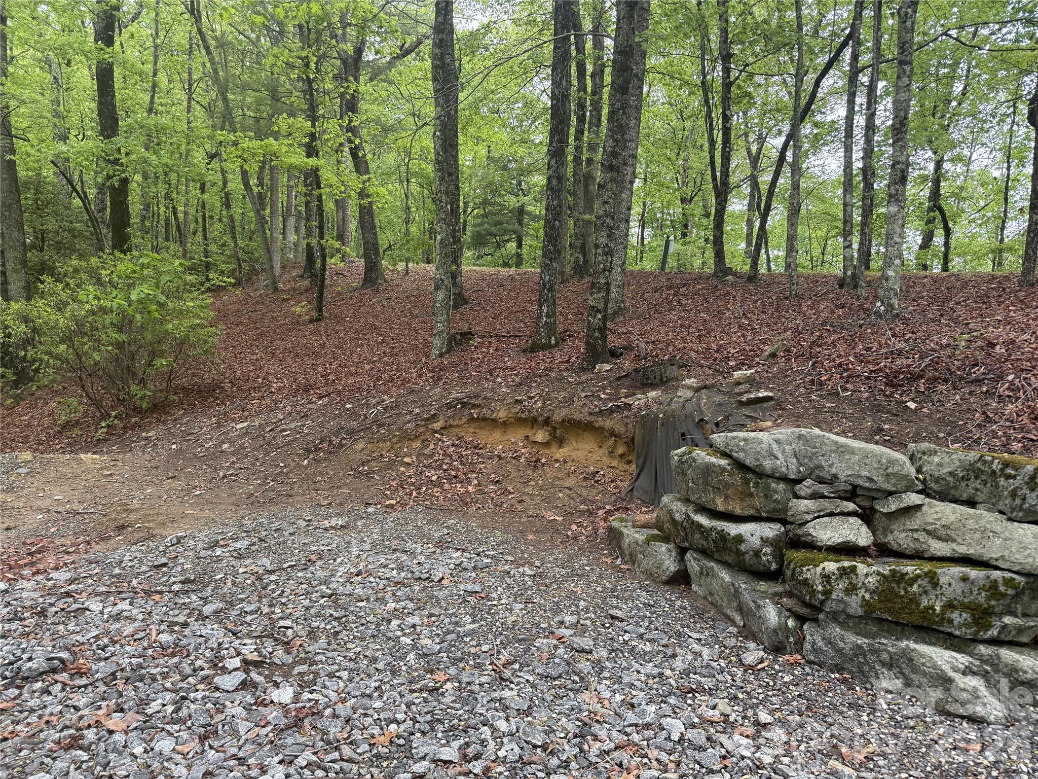 39 Black Bear Ridge Trail 20 Property Photo 3