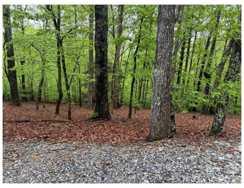 39 Black Bear Ridge Trail 20 Property Photo 5