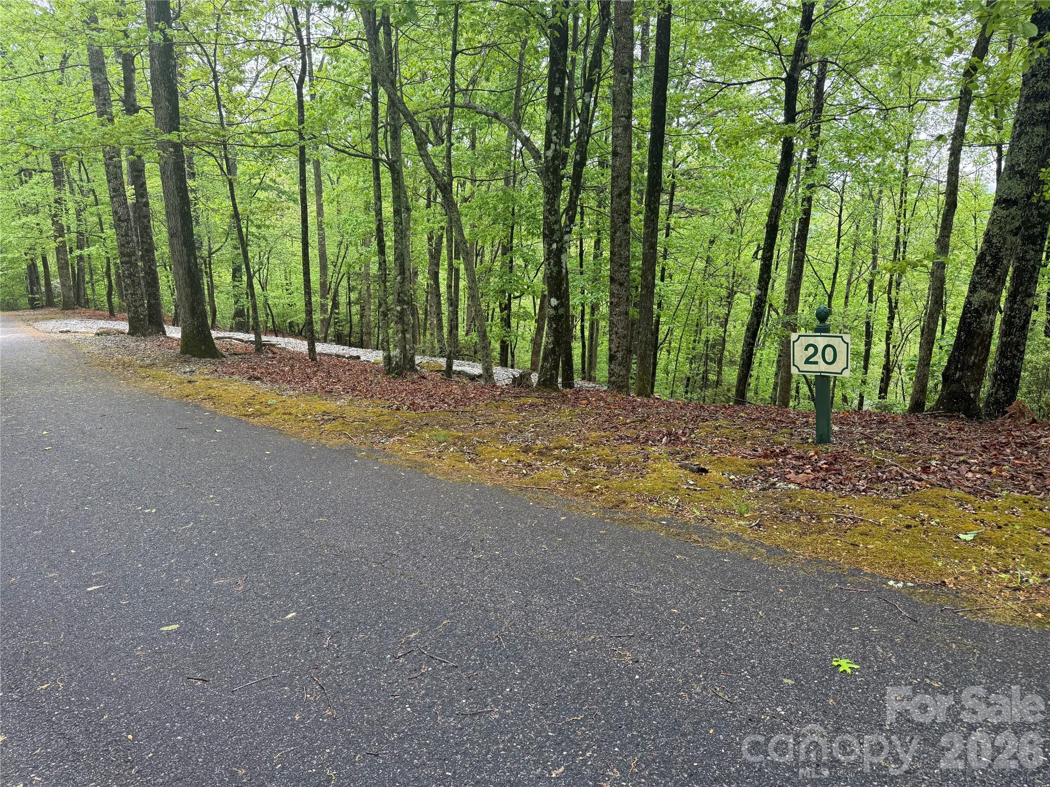 39 Black Bear Ridge Trail 20 Property Photo 8