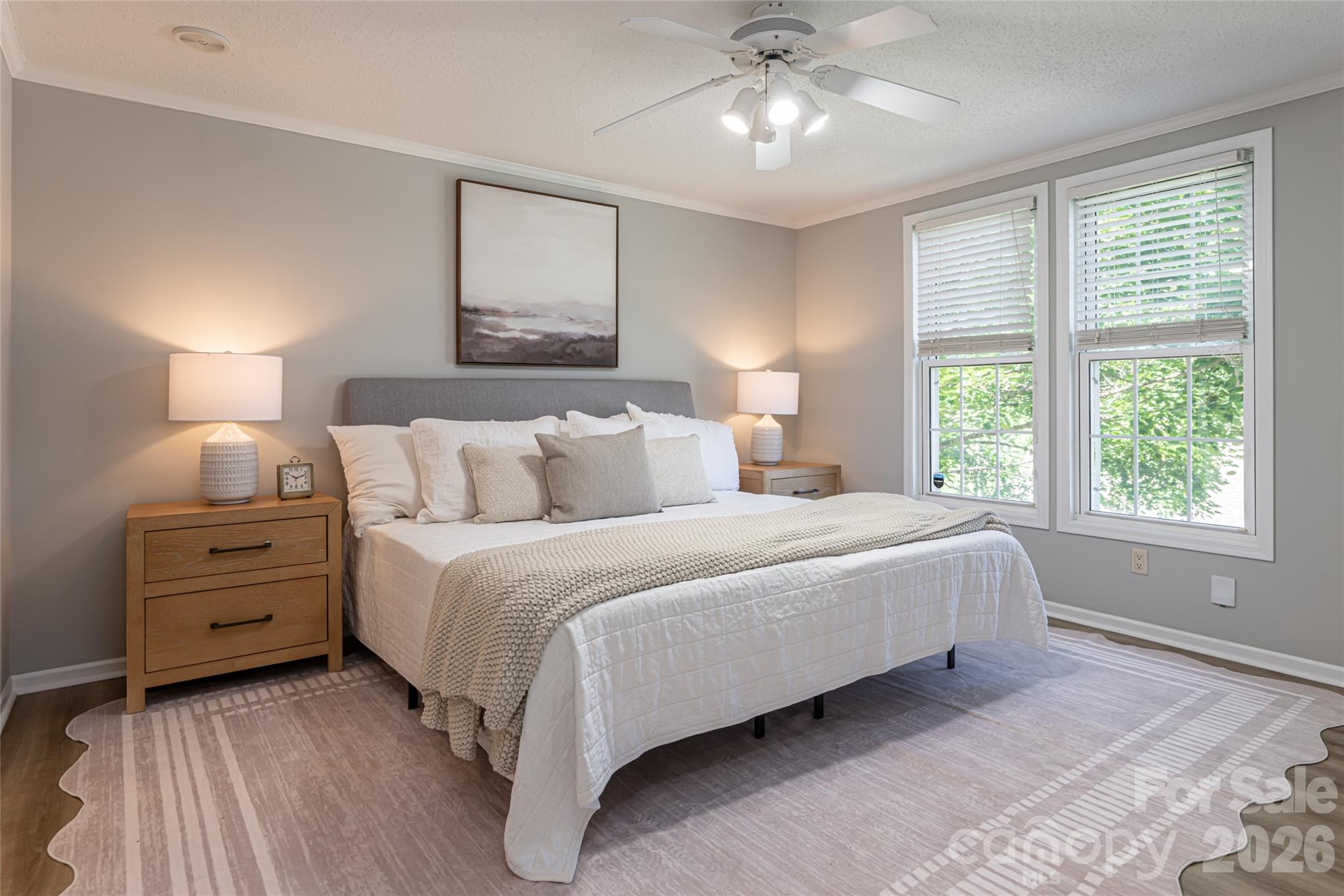 19 Sycamore Street Property Photo 5