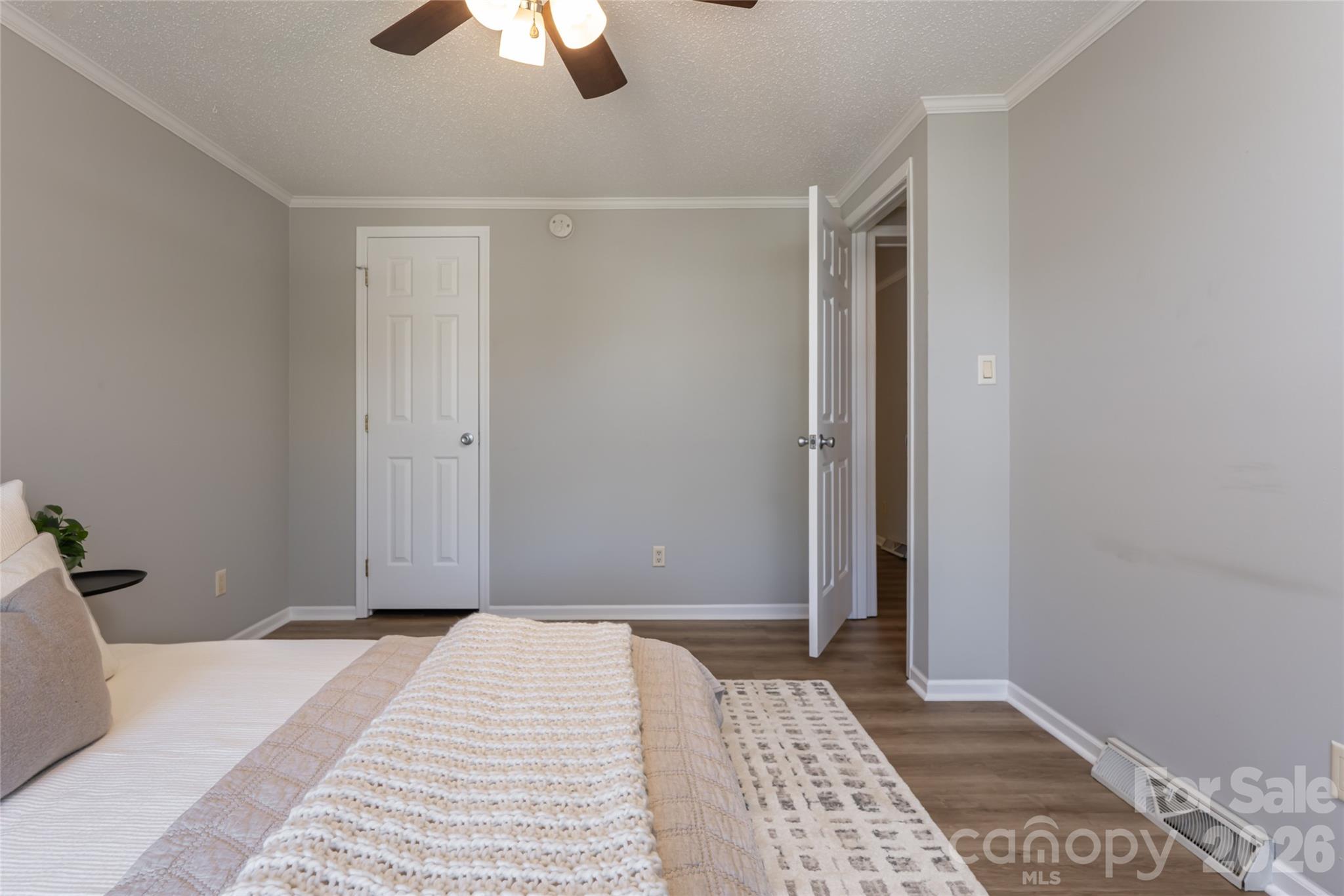 19 Sycamore Street Property Photo 22