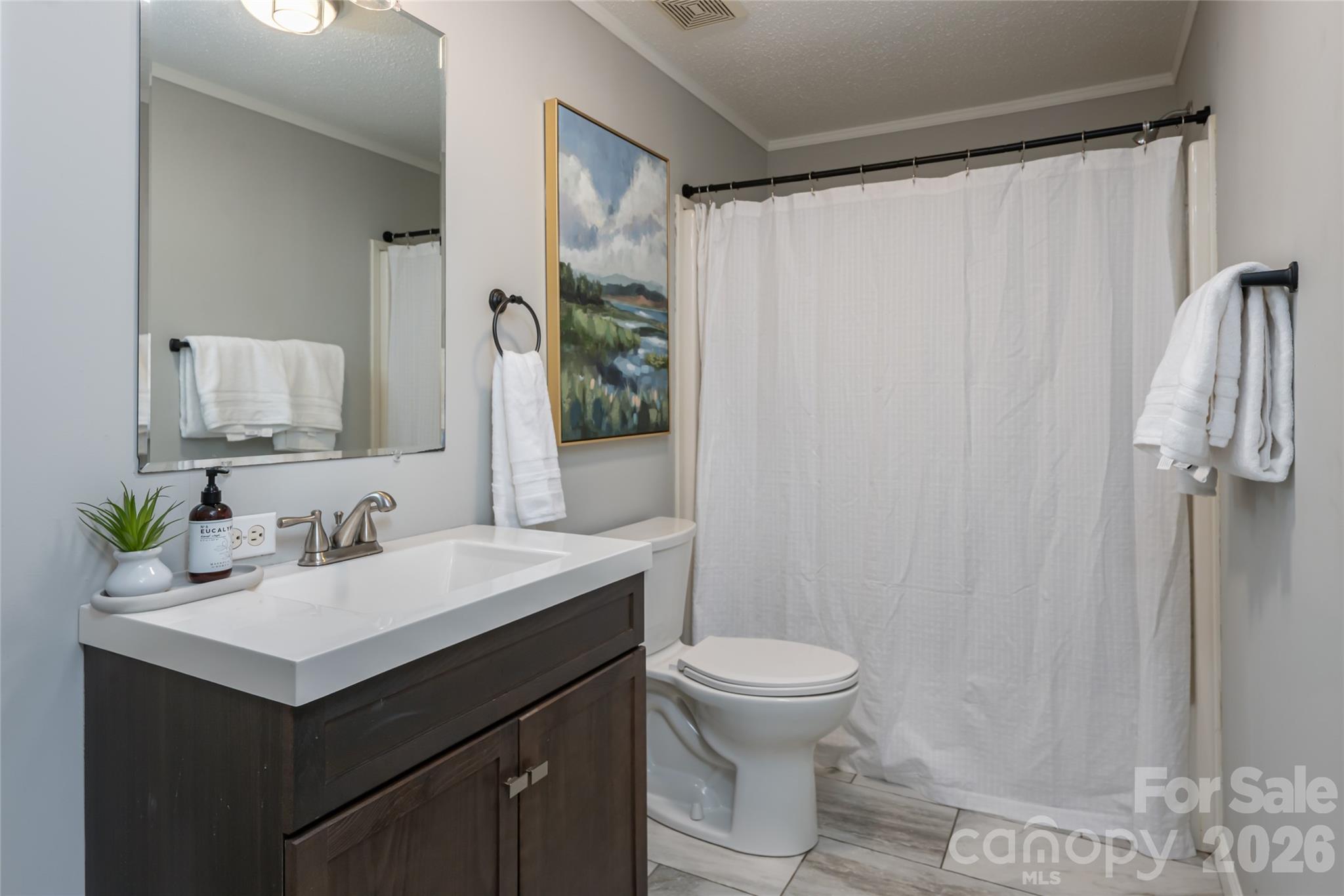 19 Sycamore Street Property Photo 23