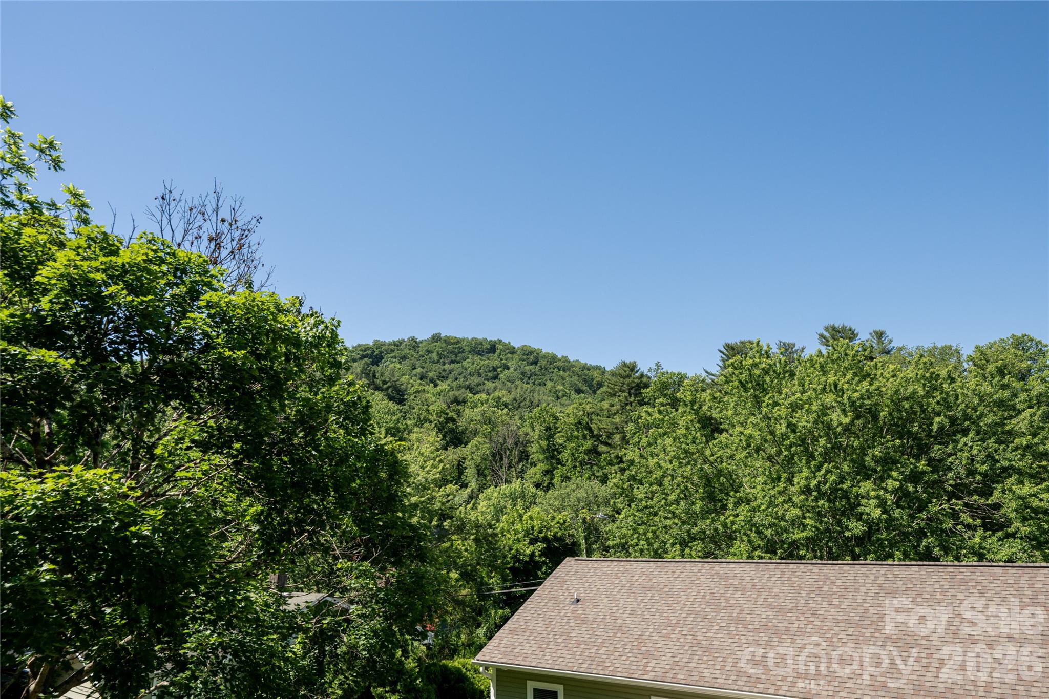 19 Sycamore Street Property Photo 28