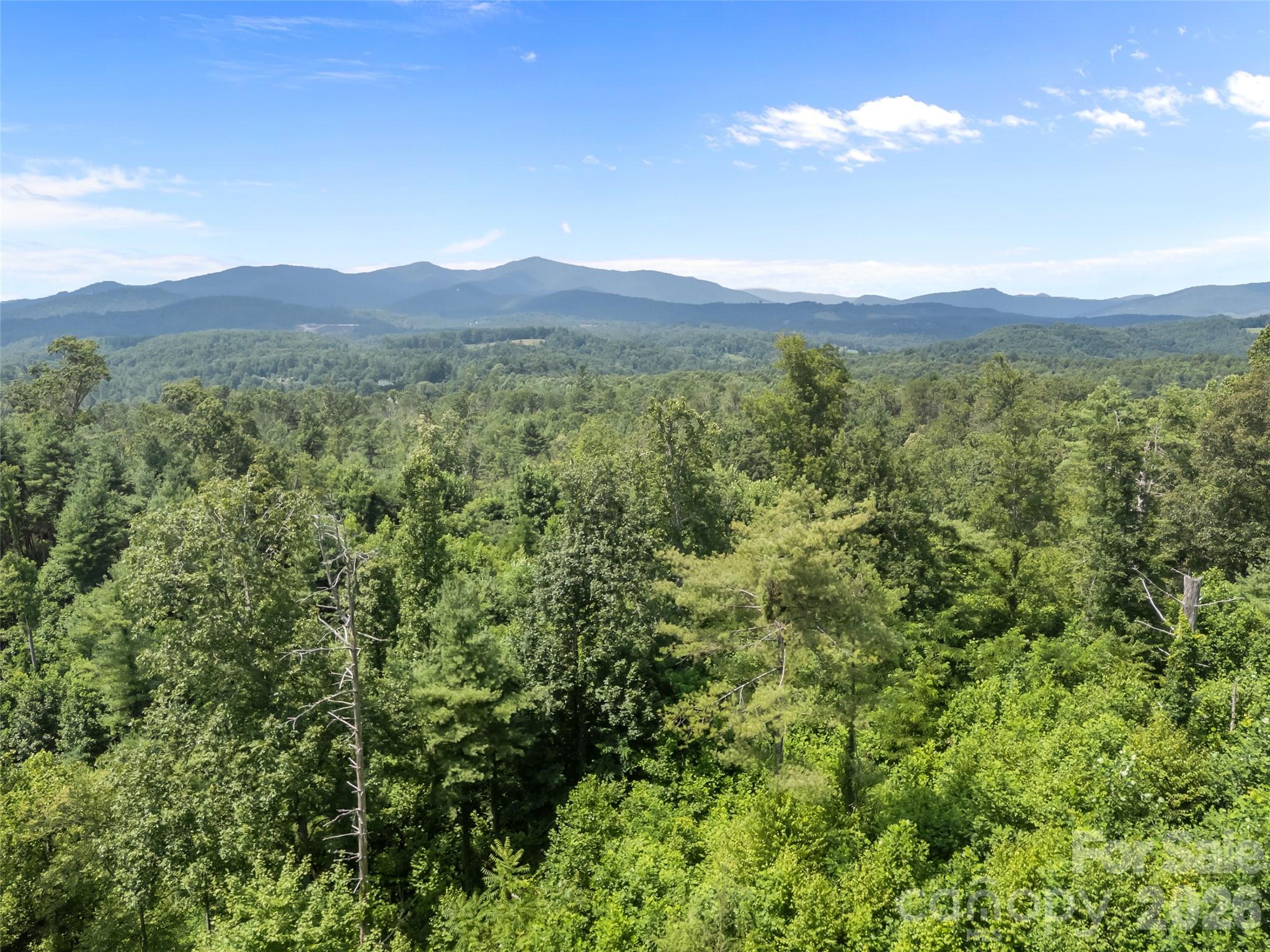 1305 Halltown Road Property Photo 10