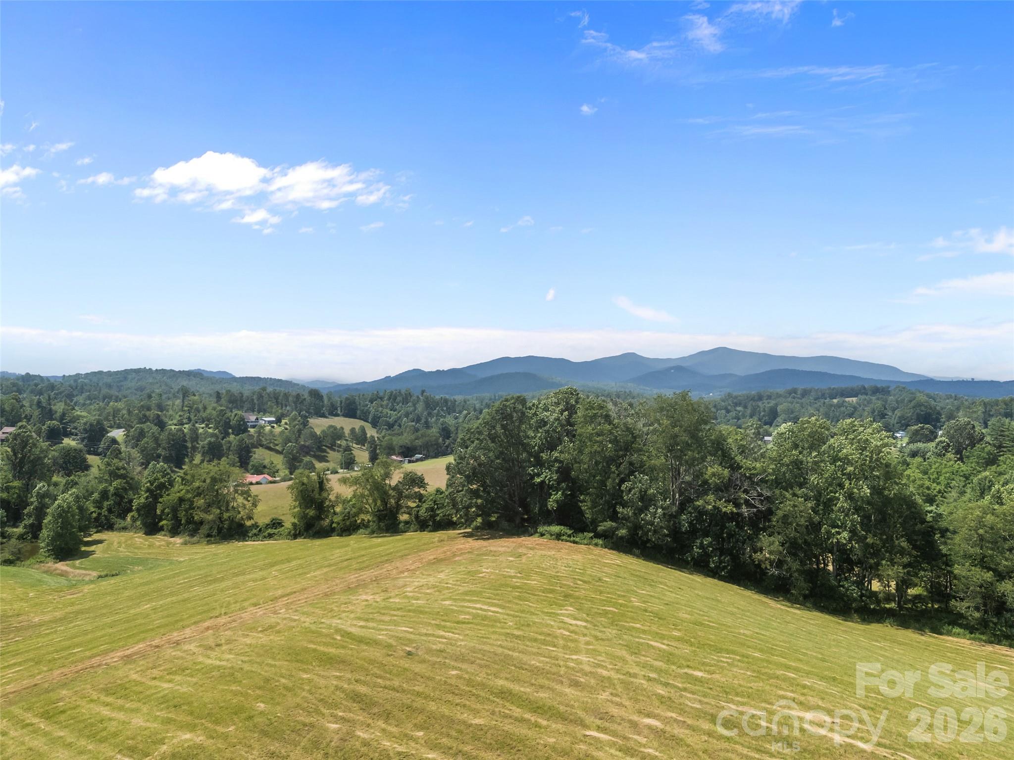 1305 Halltown Road Property Photo 12