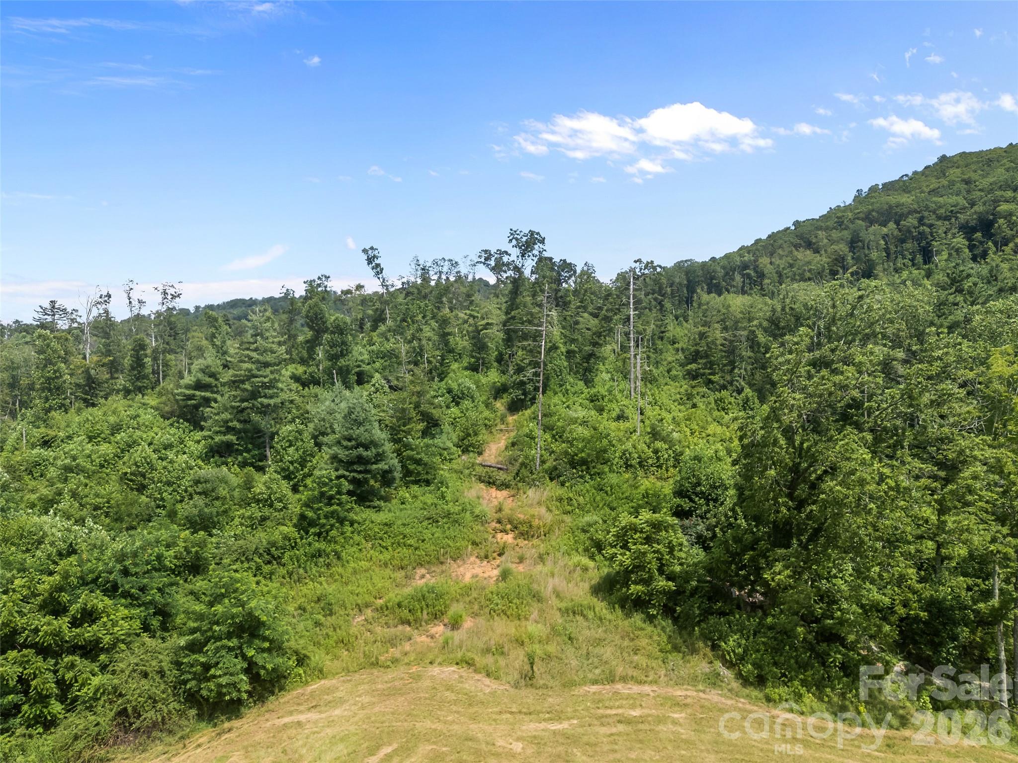 1305 Halltown Road Property Photo 18
