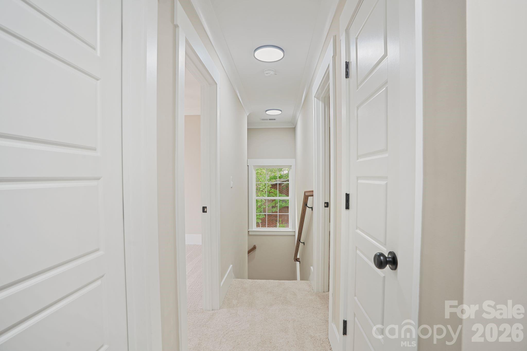 319 Grice Street Property Photo 22
