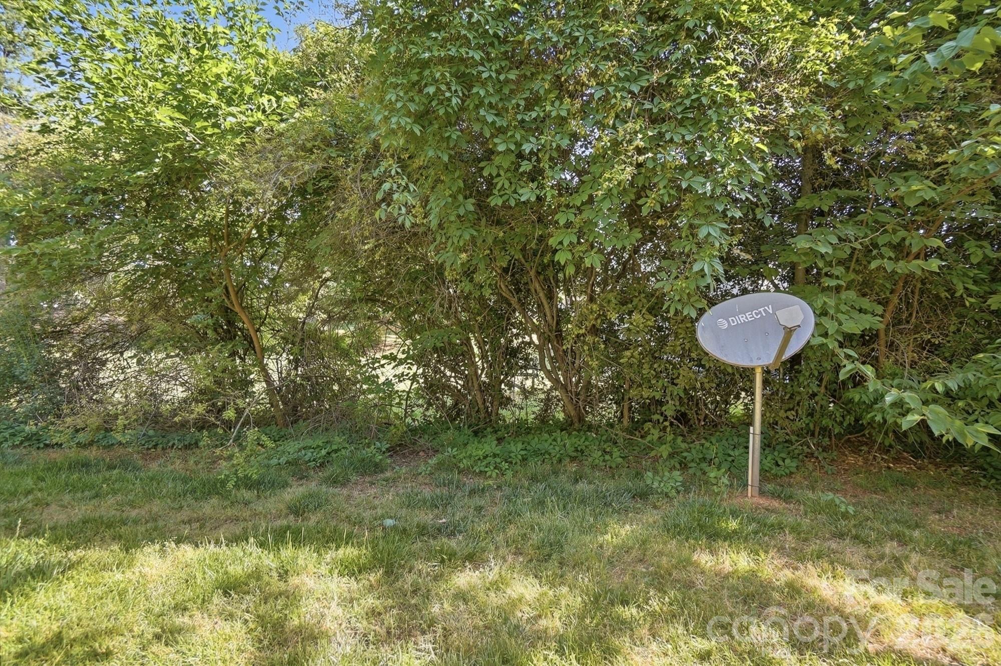 10584 English Setter Way Property Photo 38