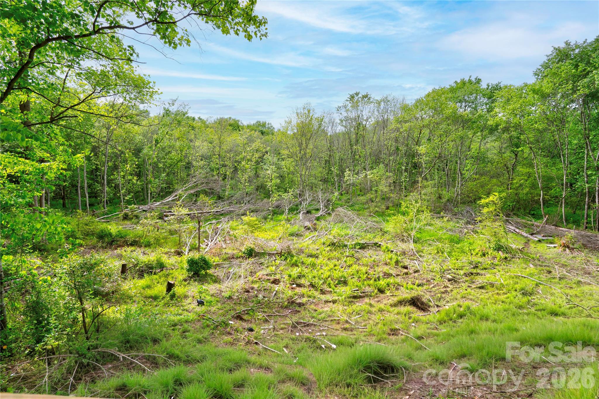 141 Knob Creek Drive Property Photo 28